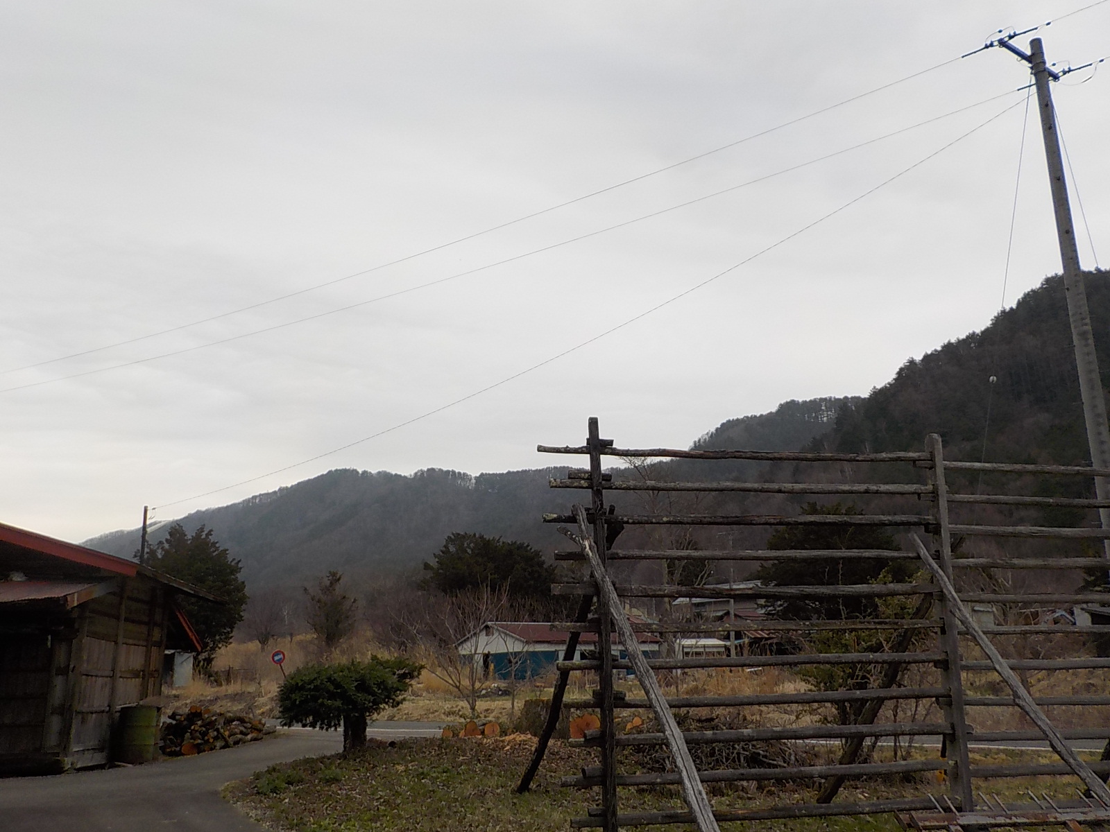 ���̖؎{�H��