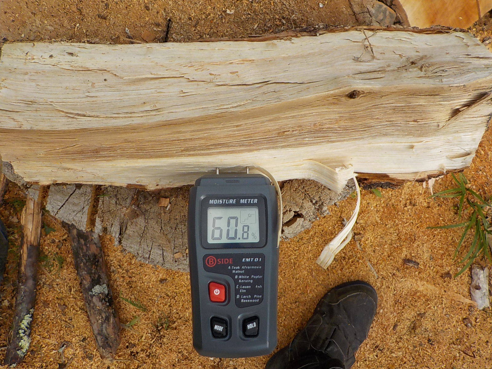 �R�i���S����