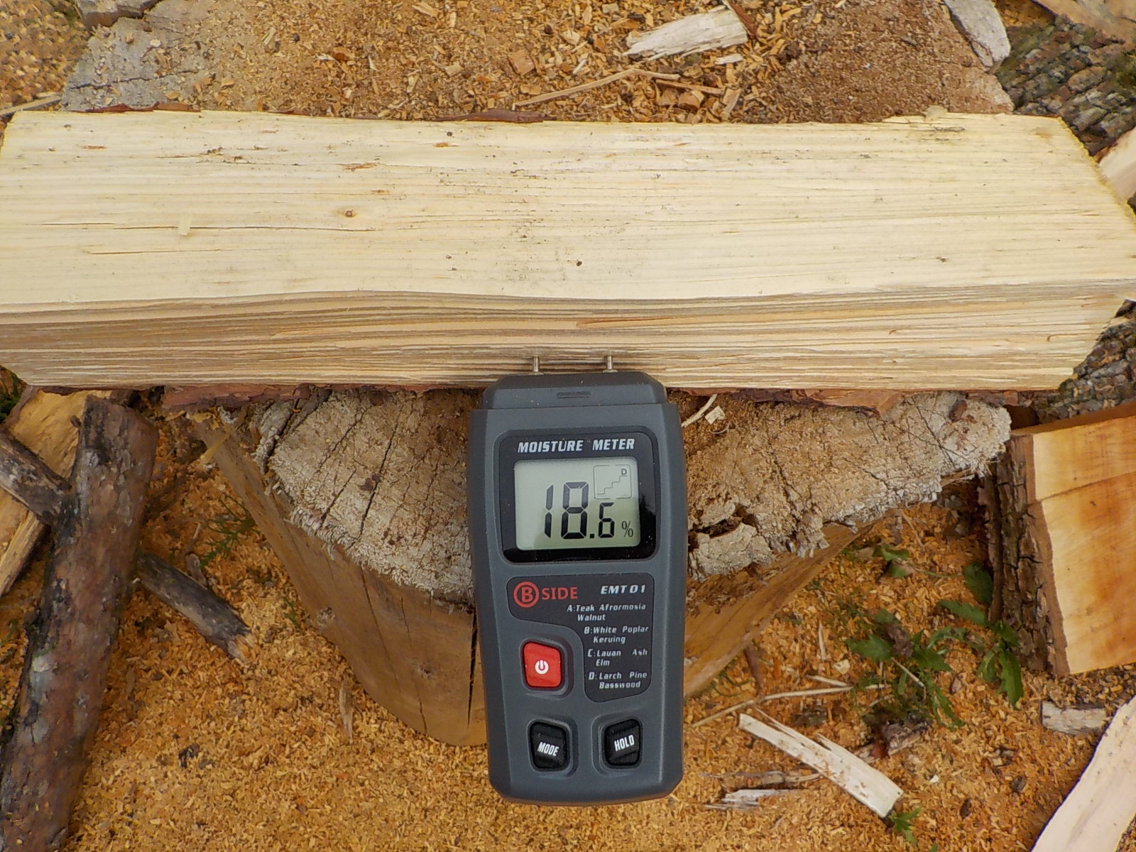 �ԏ��T����