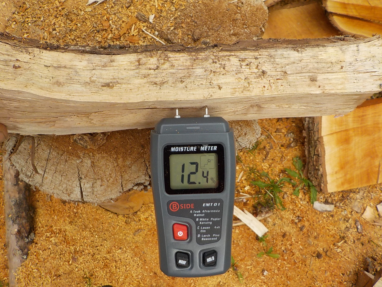 ����݂Q�O����