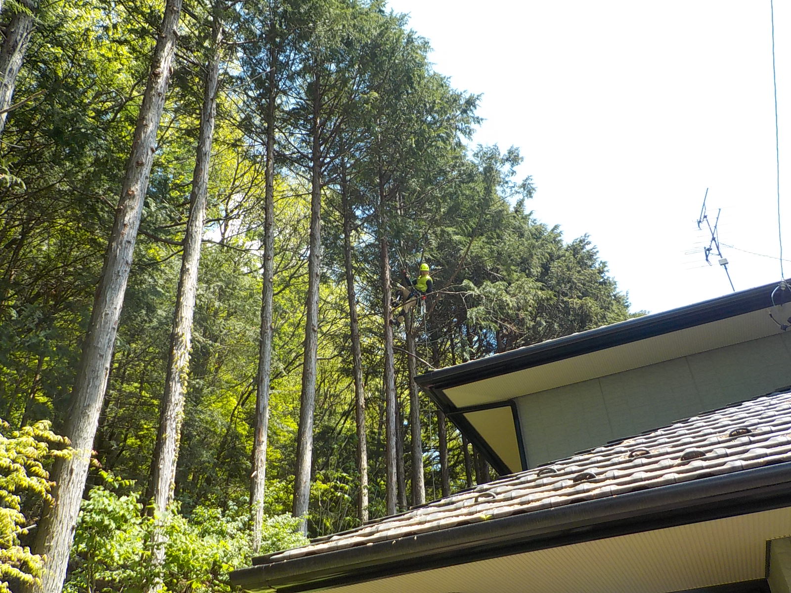 �}�����S