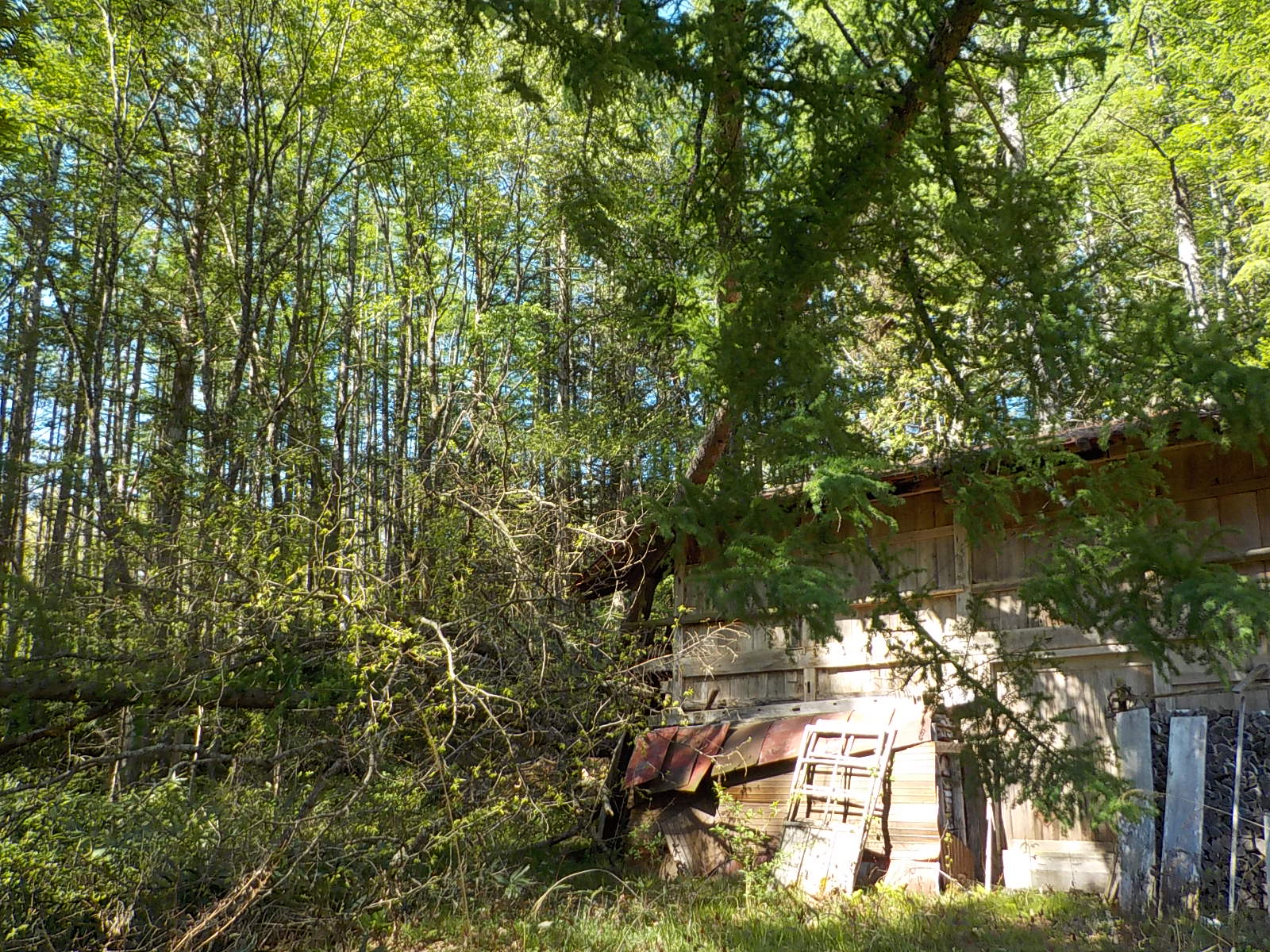 �|�؎{�H�O�R