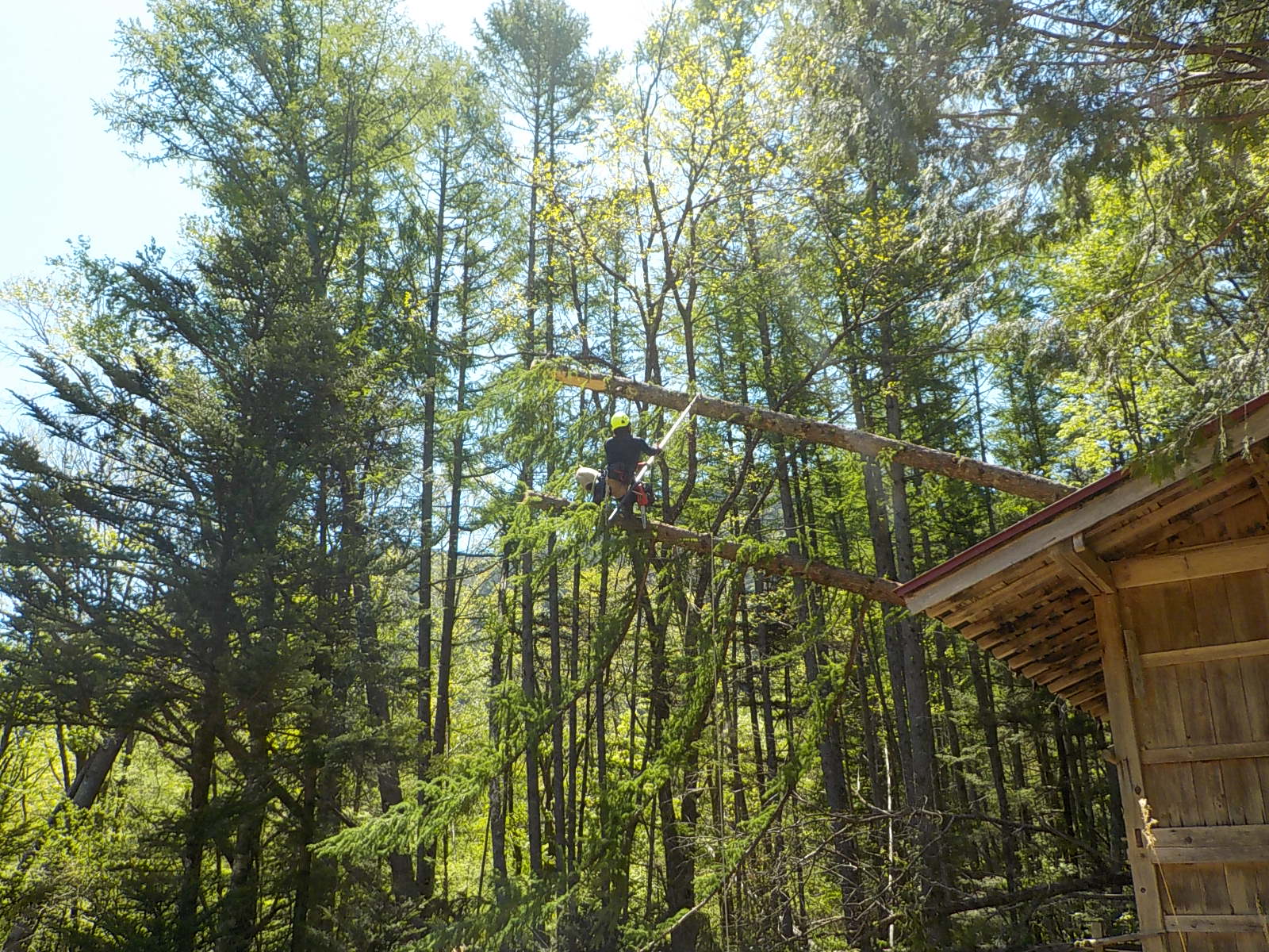 �J���������Q