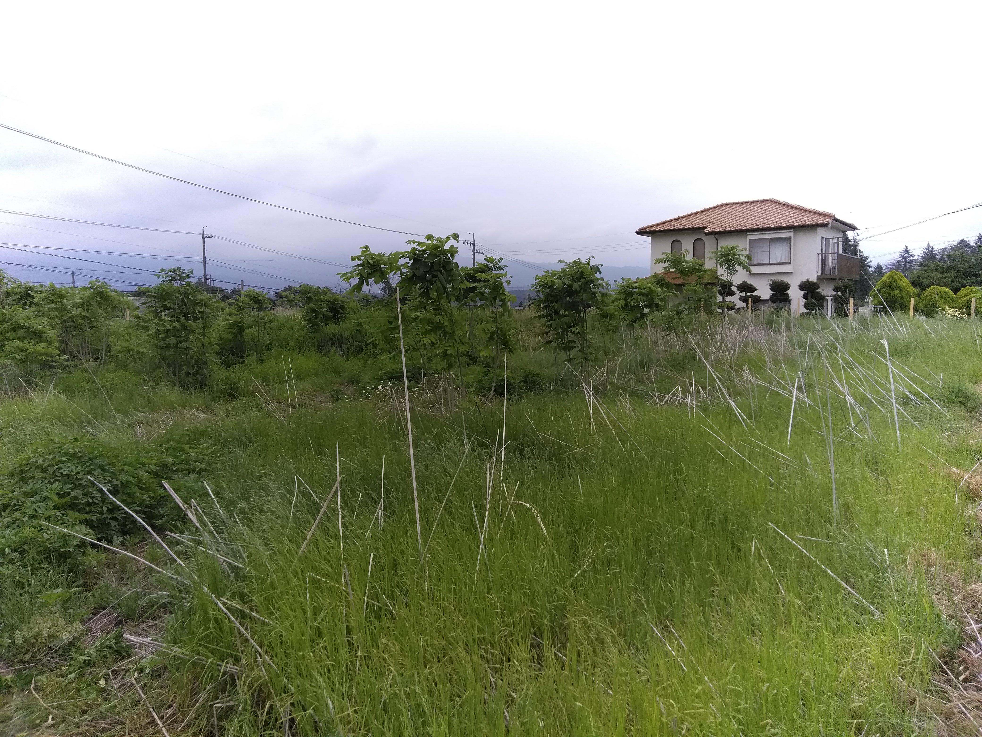 ������{�H�O