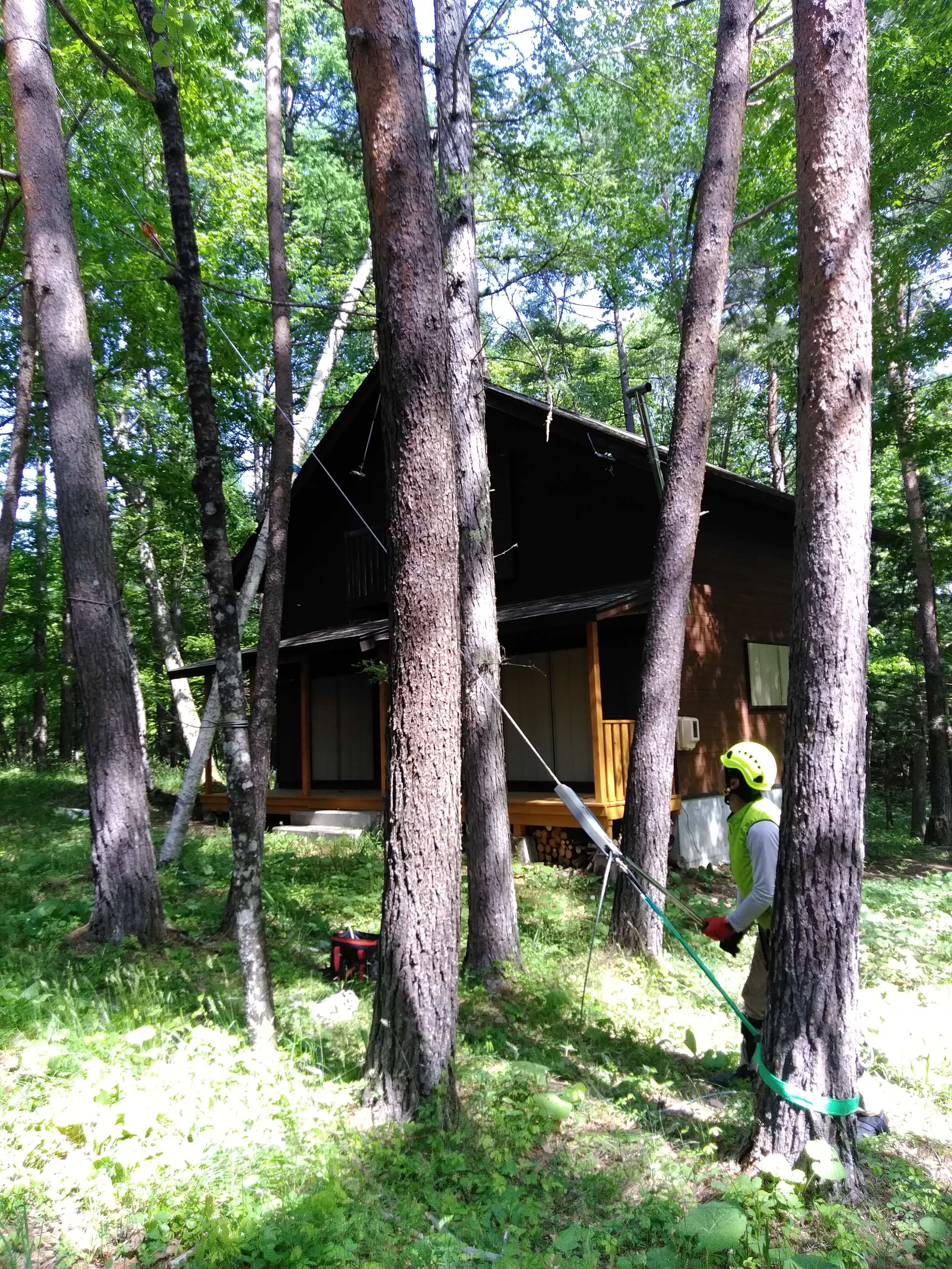 �`���z�[���Ō���