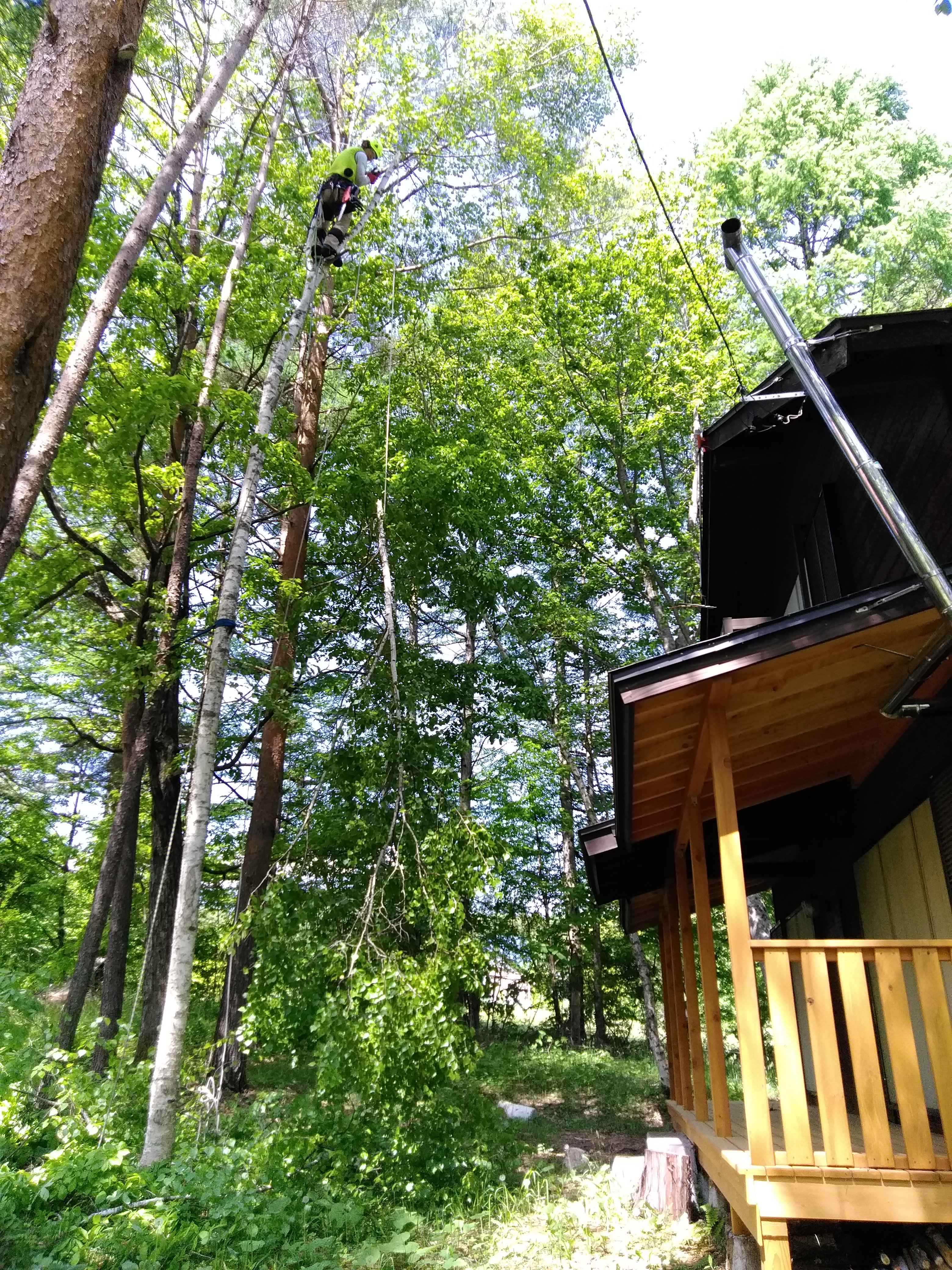 ���[�v�Ŏ}����