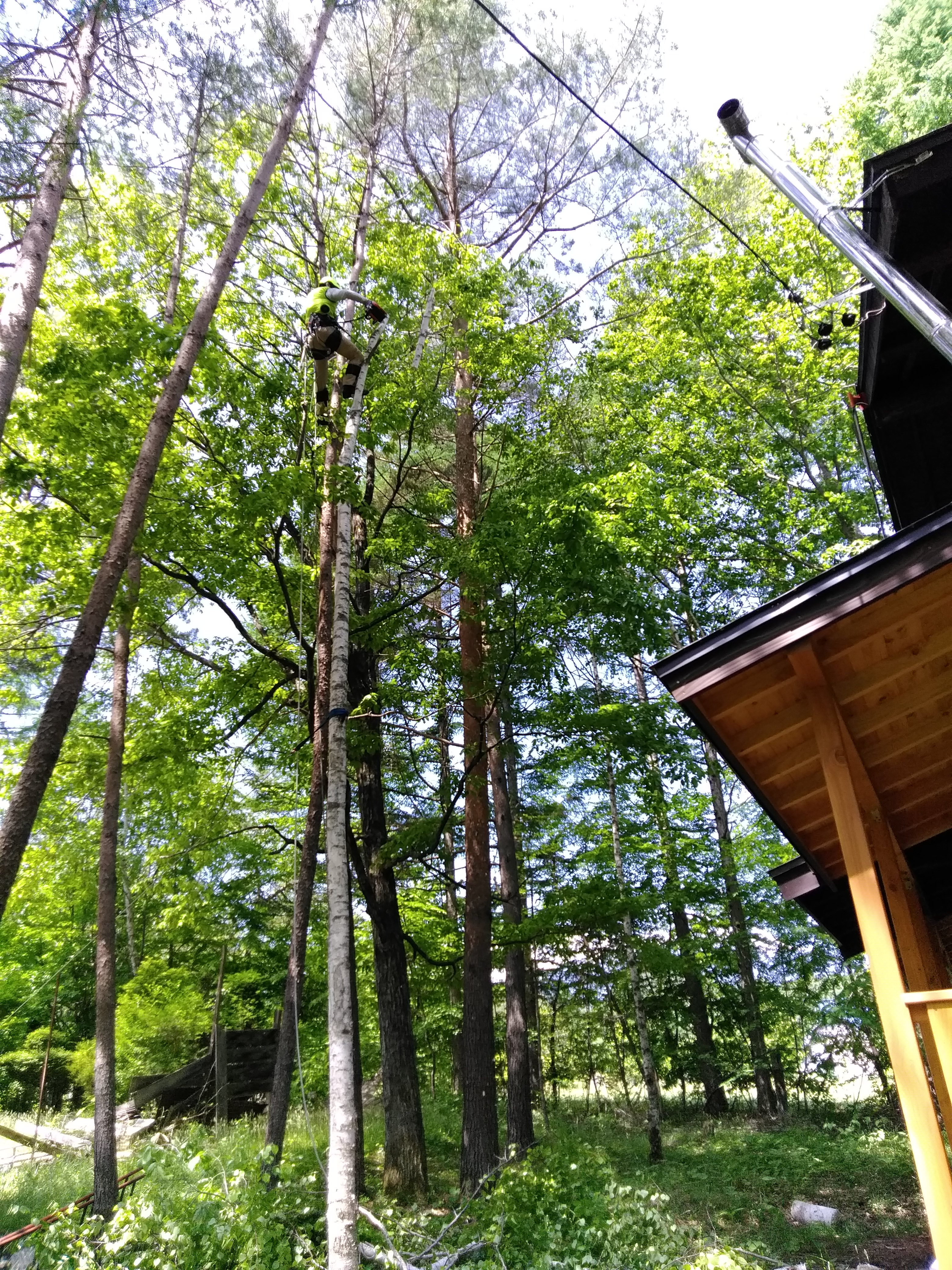 ���̏���