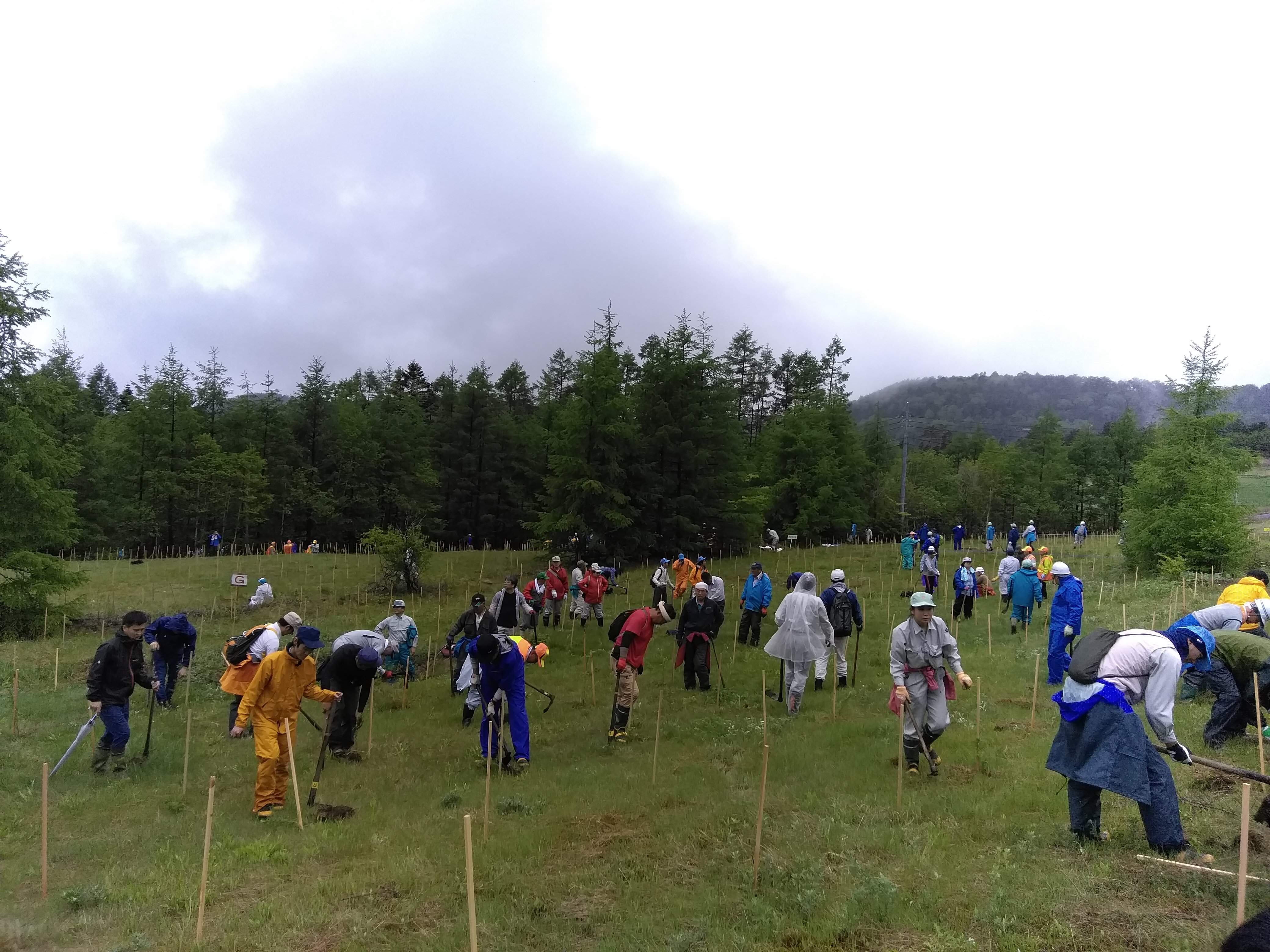 �J�����A��