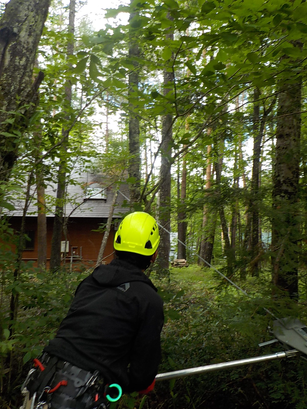 �J�����{�H�P