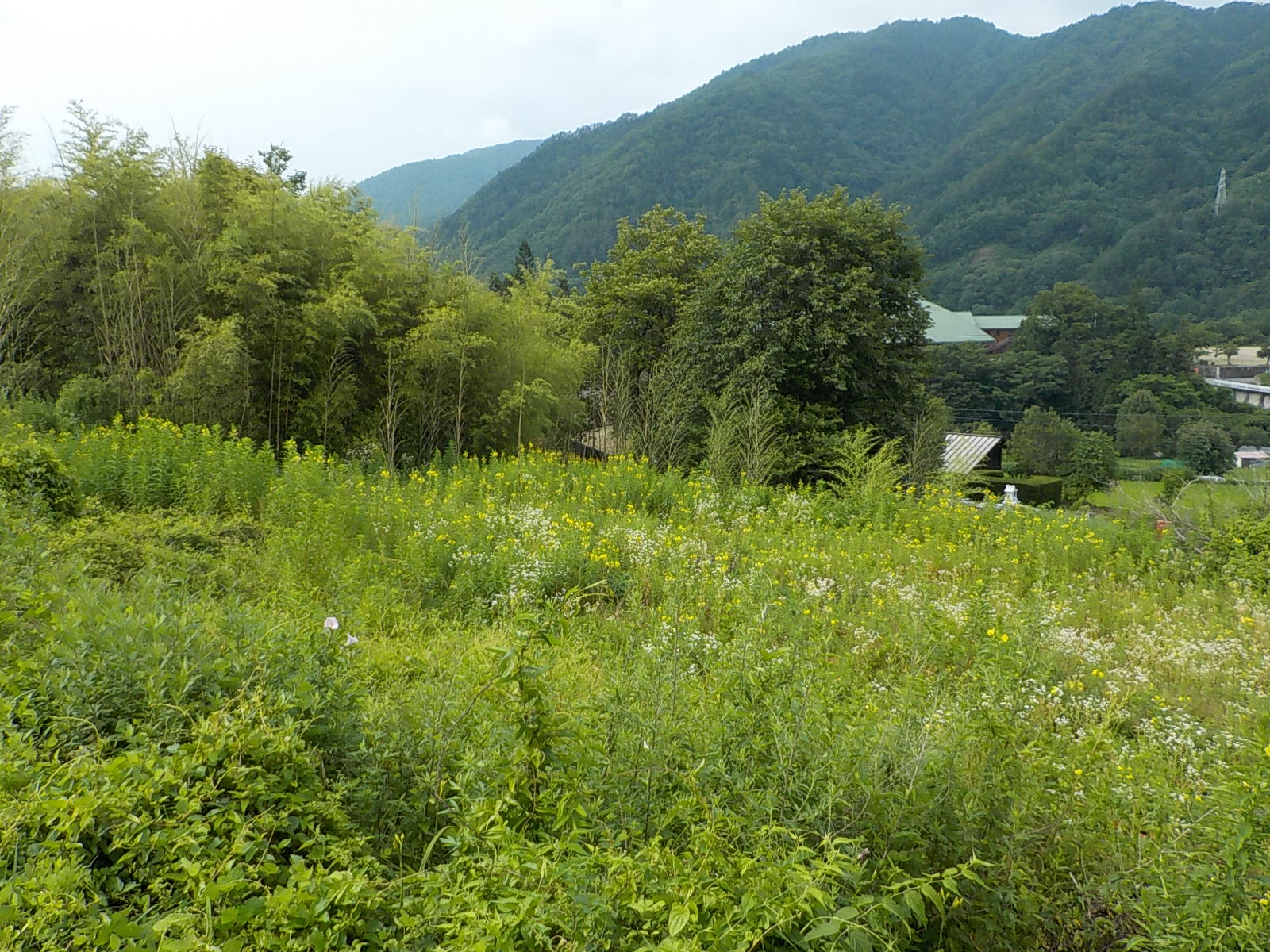 ������{�H�O