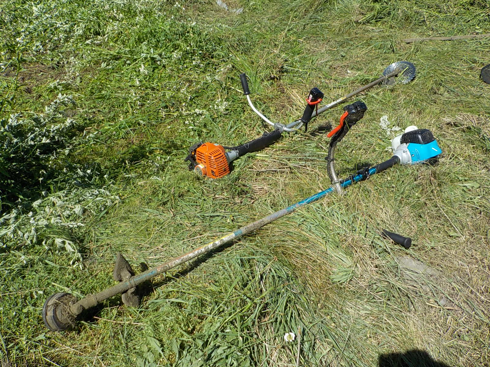 ���蕥���@