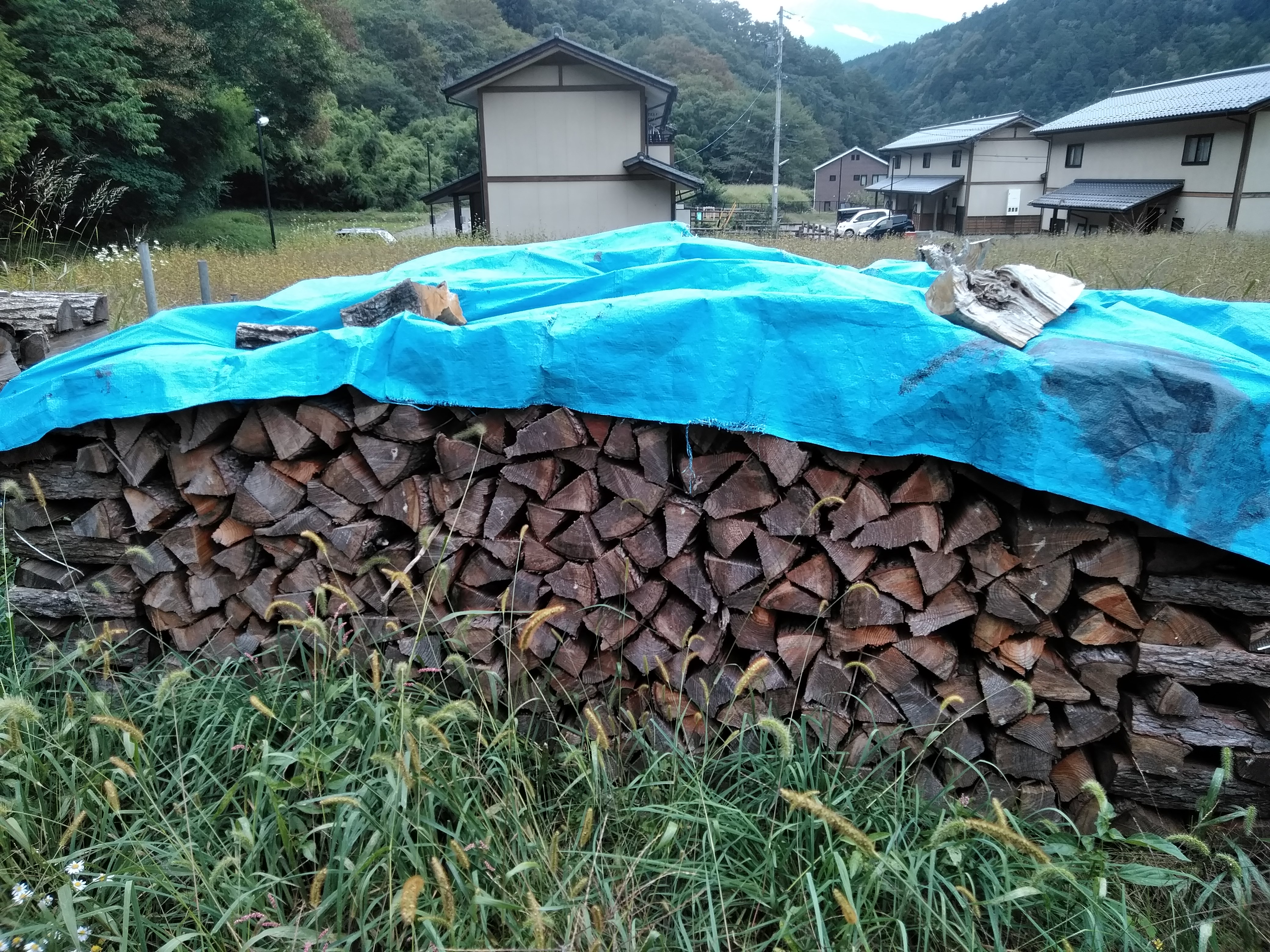 �J���}�c�V�[�g�L��