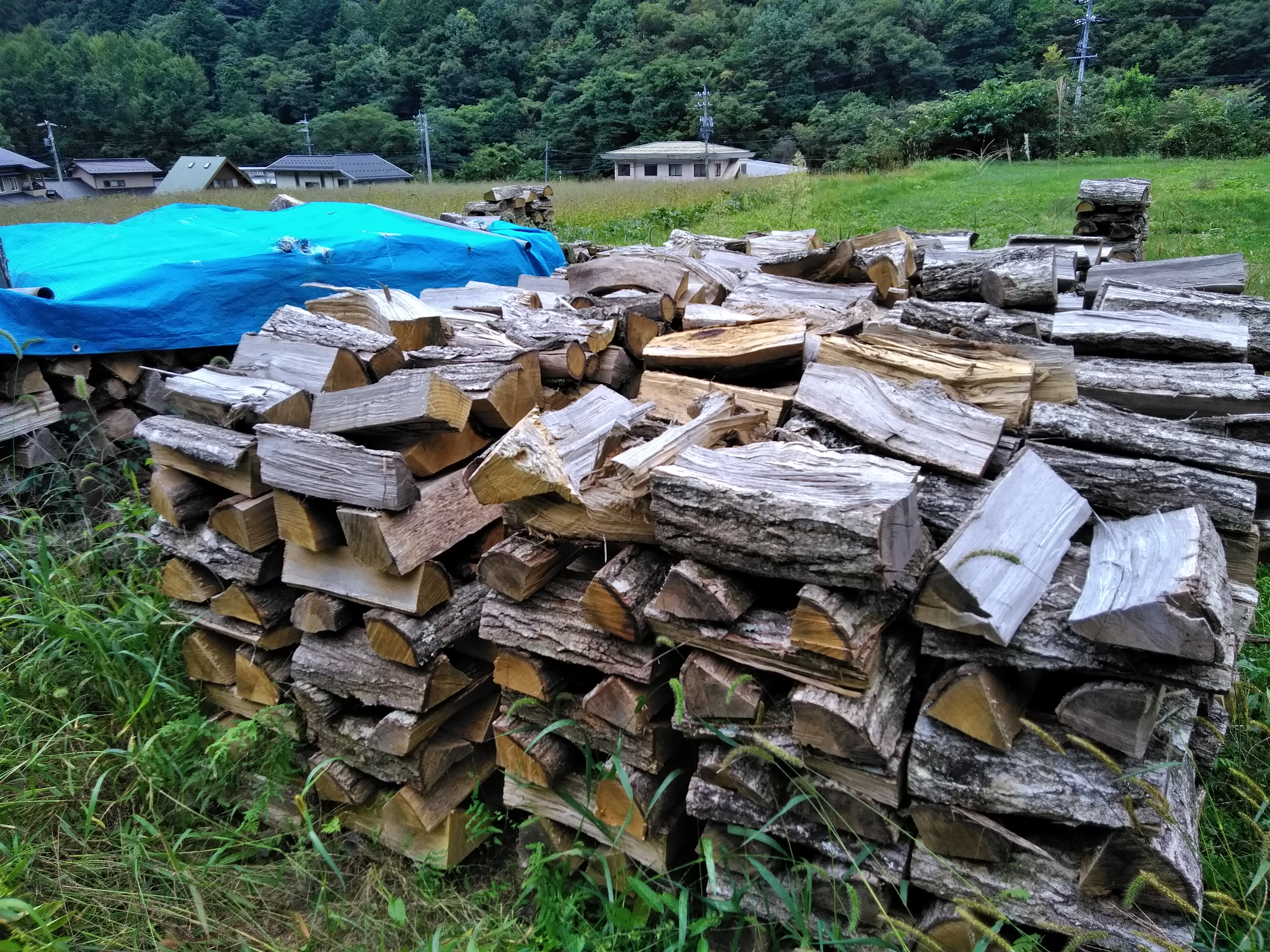 ���Ȃ�V�[�g����