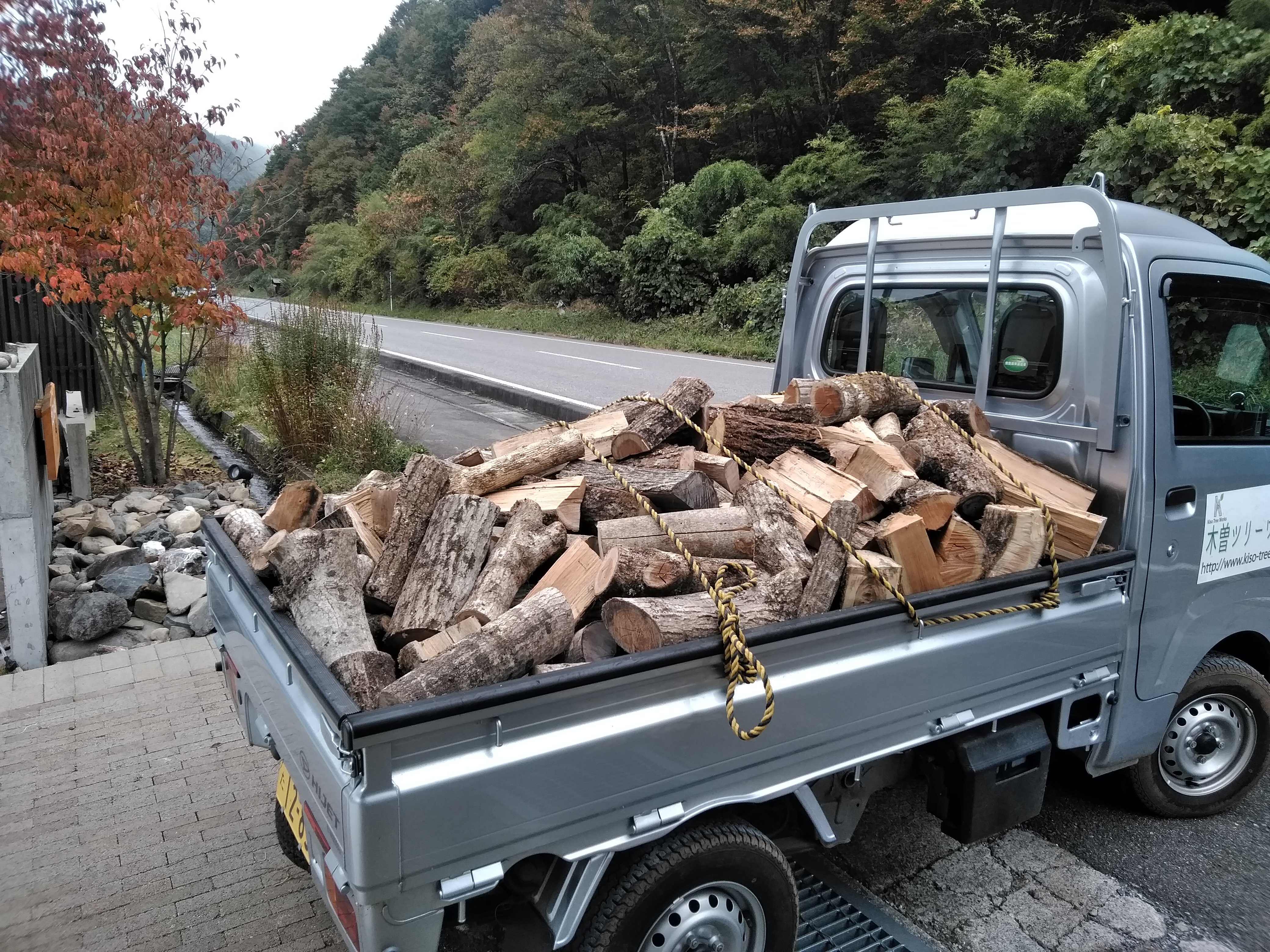 �y�g���z�B