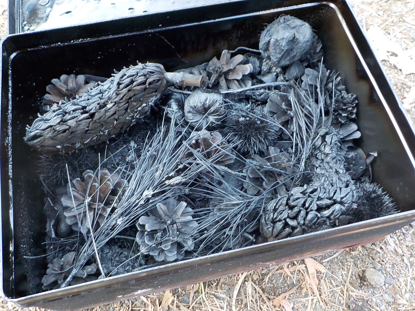 �ӏܒY�o���オ��