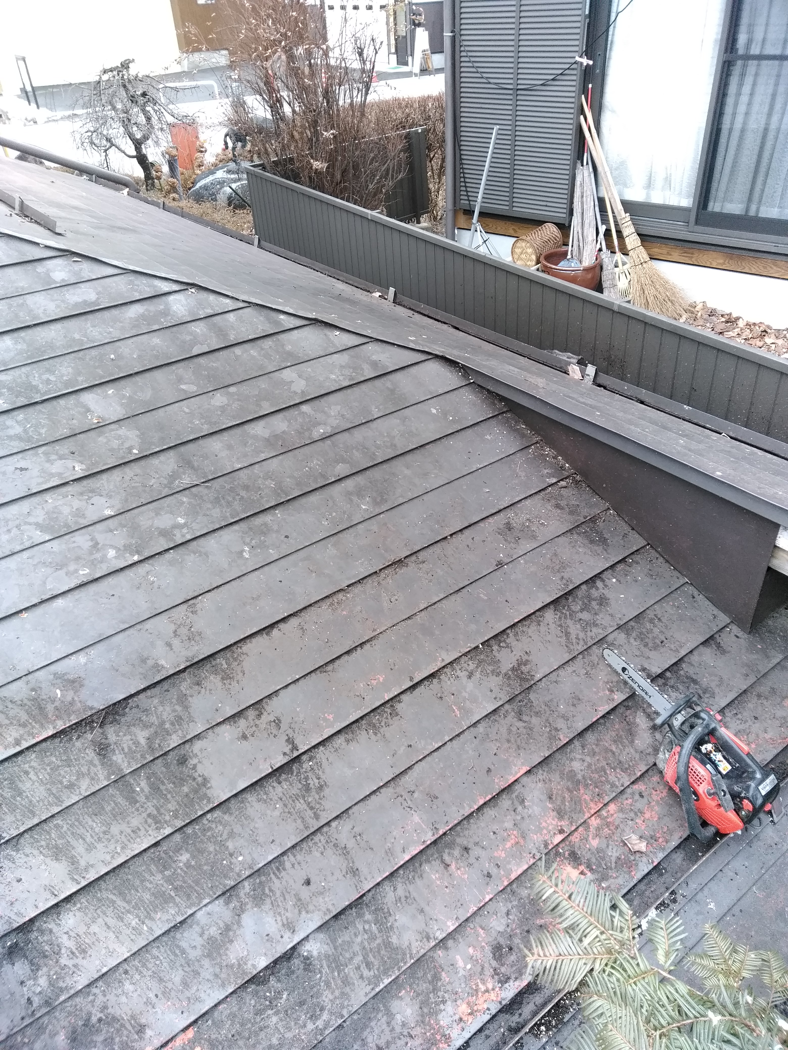 �����{�H��