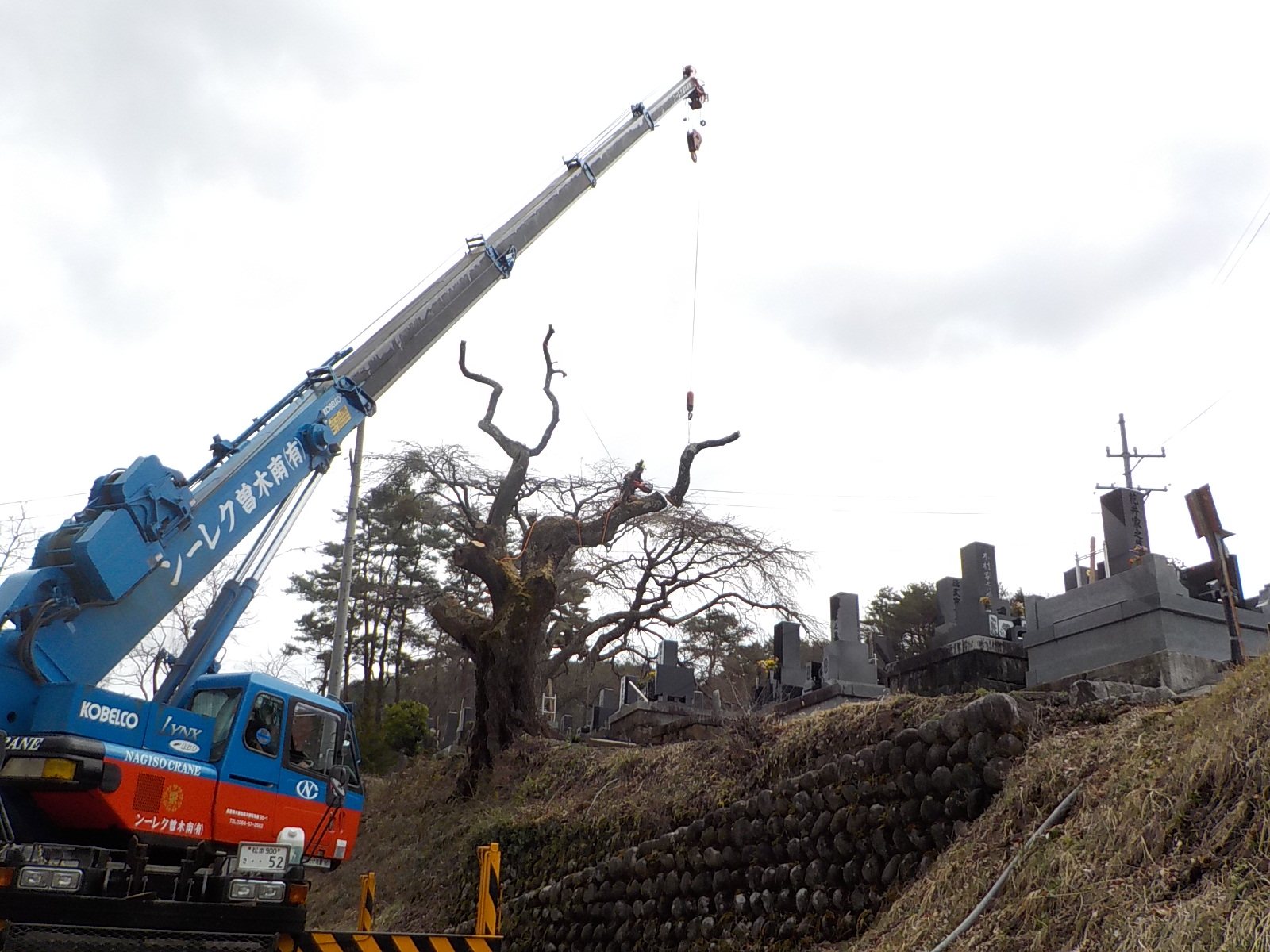 �N���[������