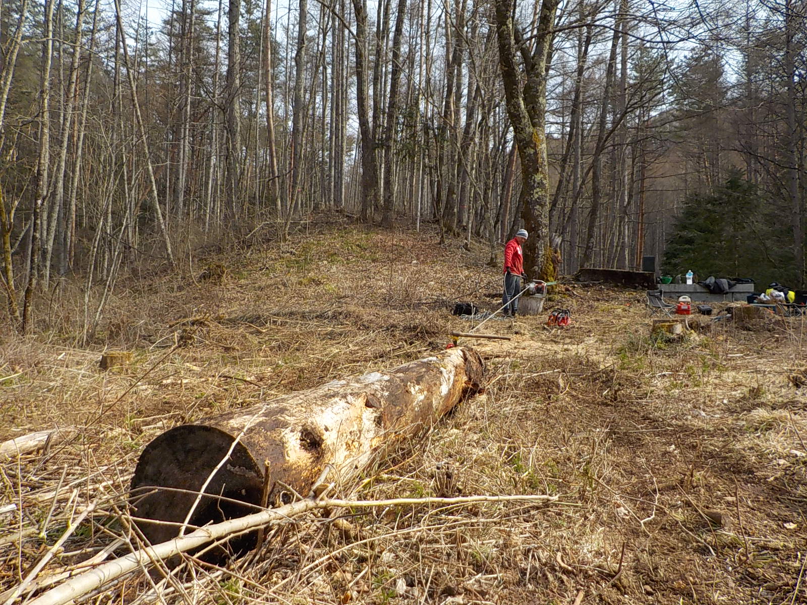 �G���W���E�B���`