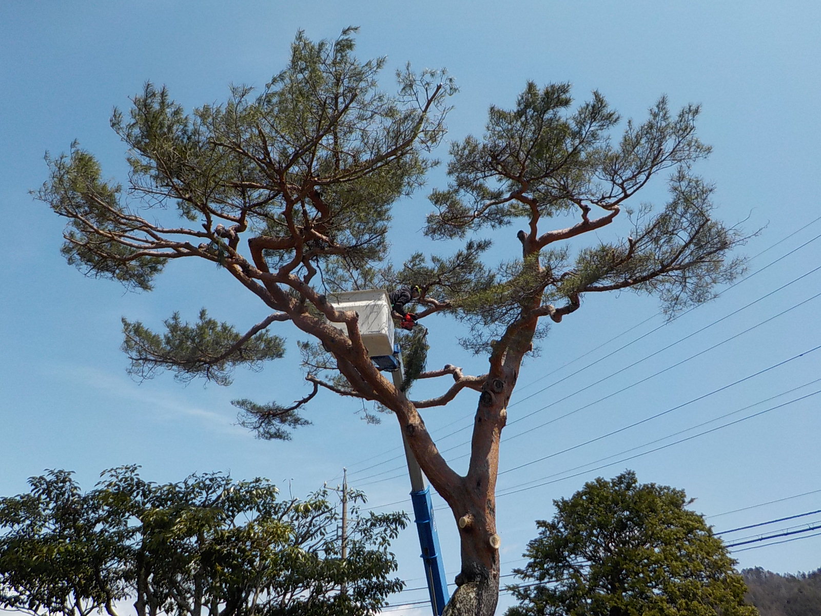 �ԏ�����