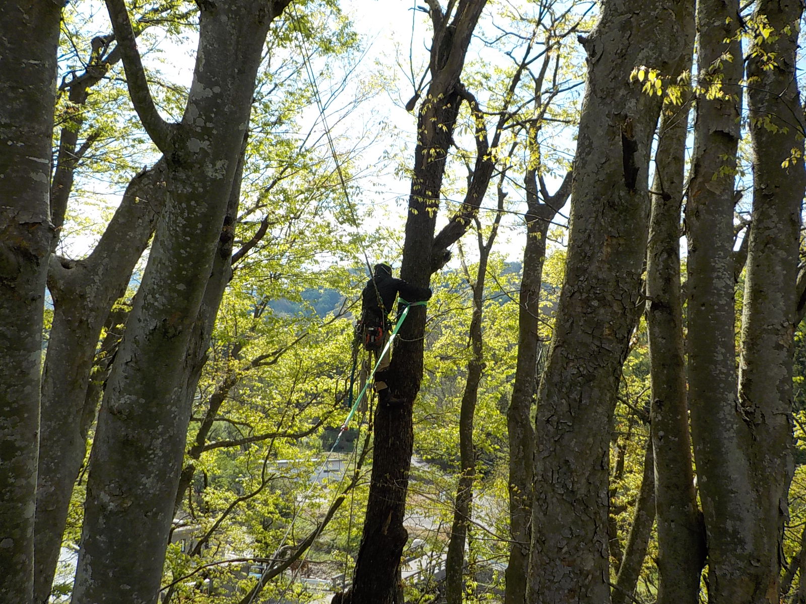 �`���z�[��