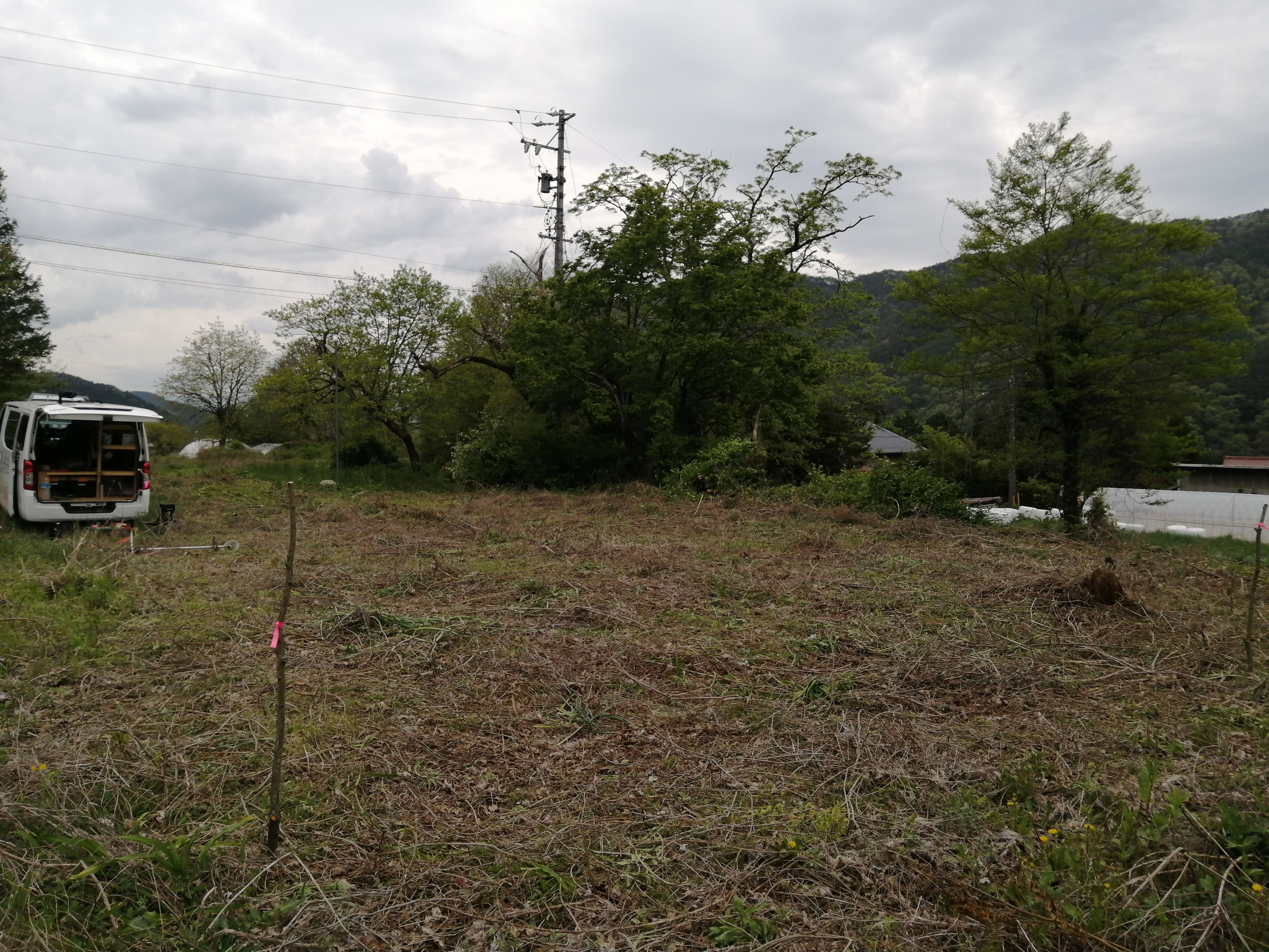 ��S�d�u����