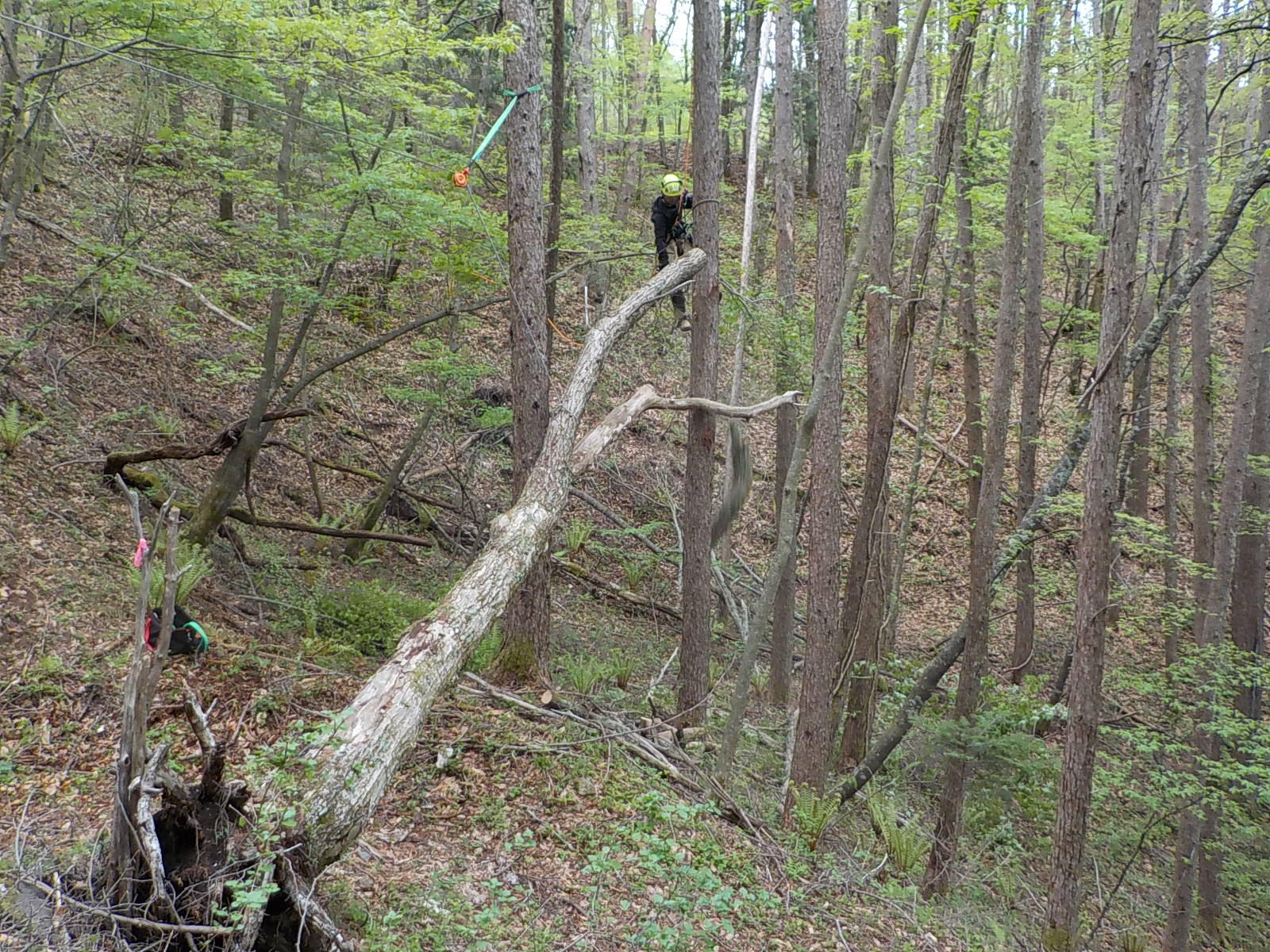 �����ԏ���