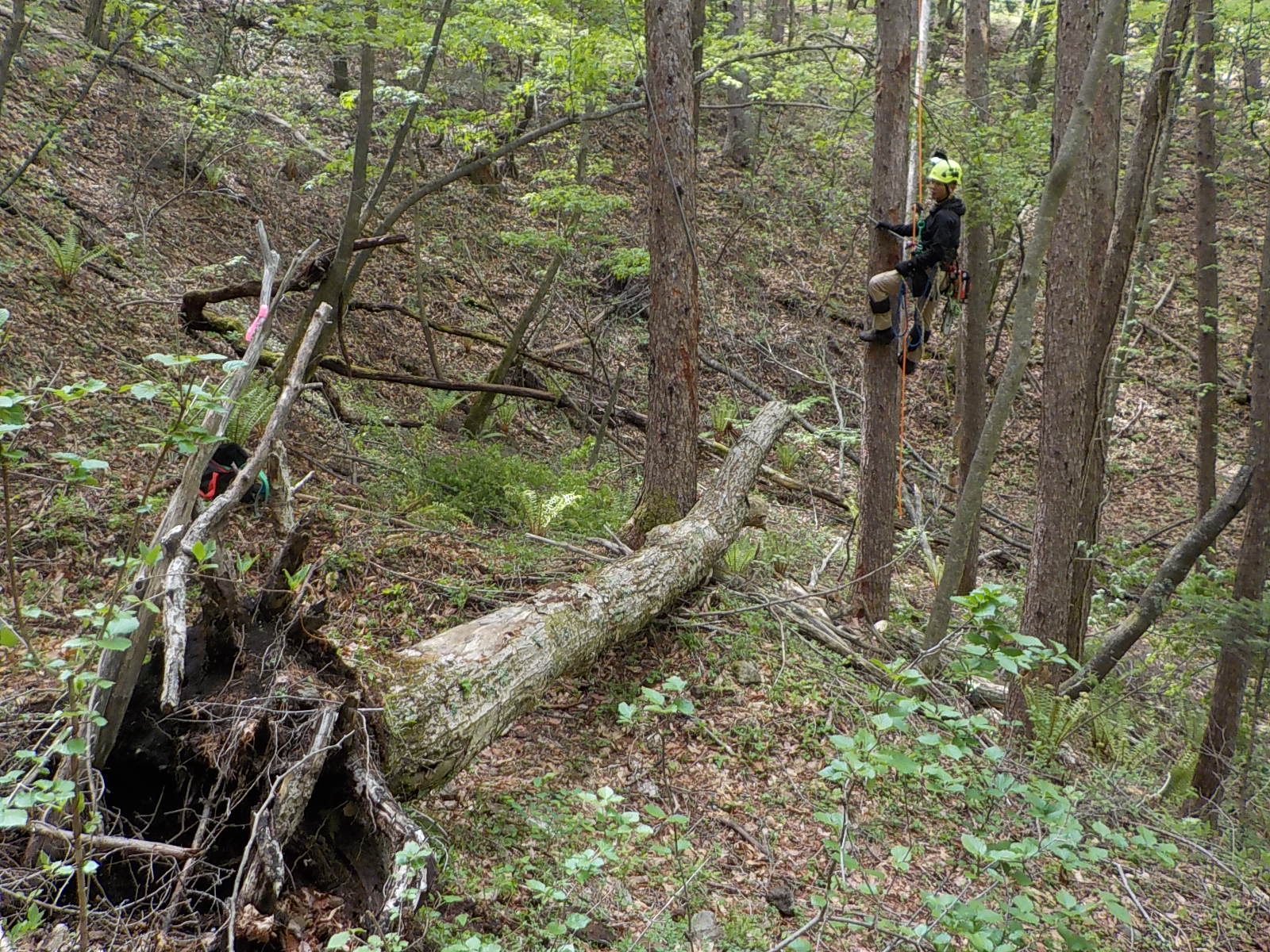 �����I��