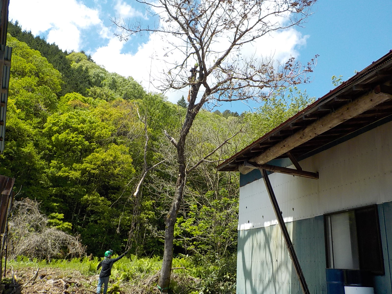 ���M���O