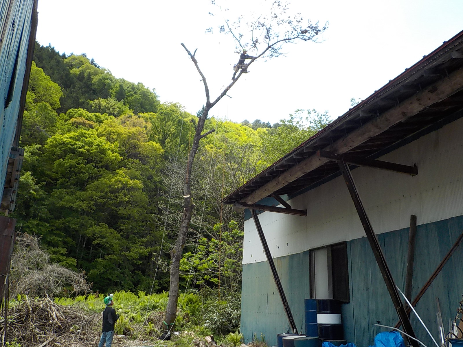 ���M���O�Q