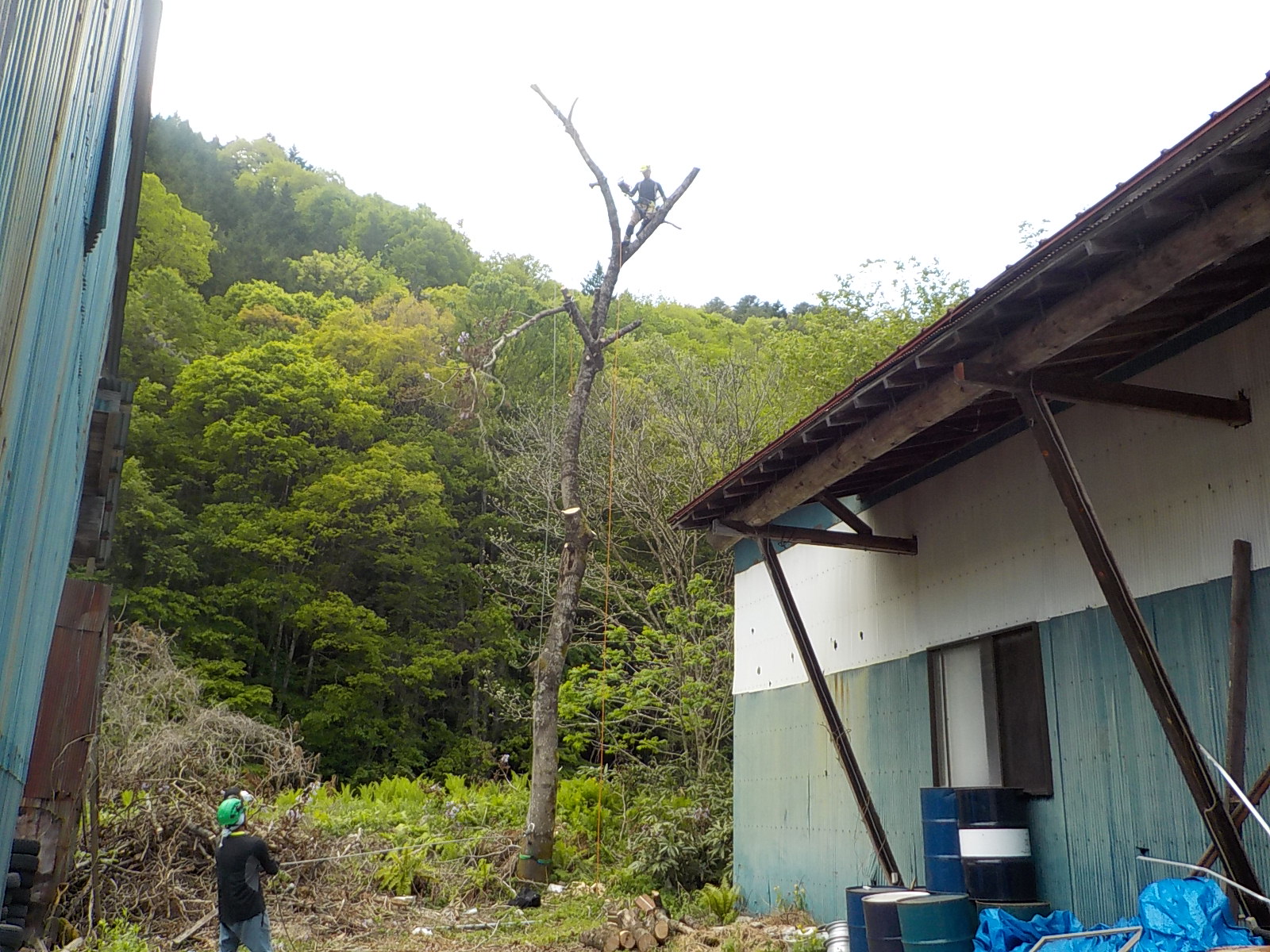 ���M���O�R