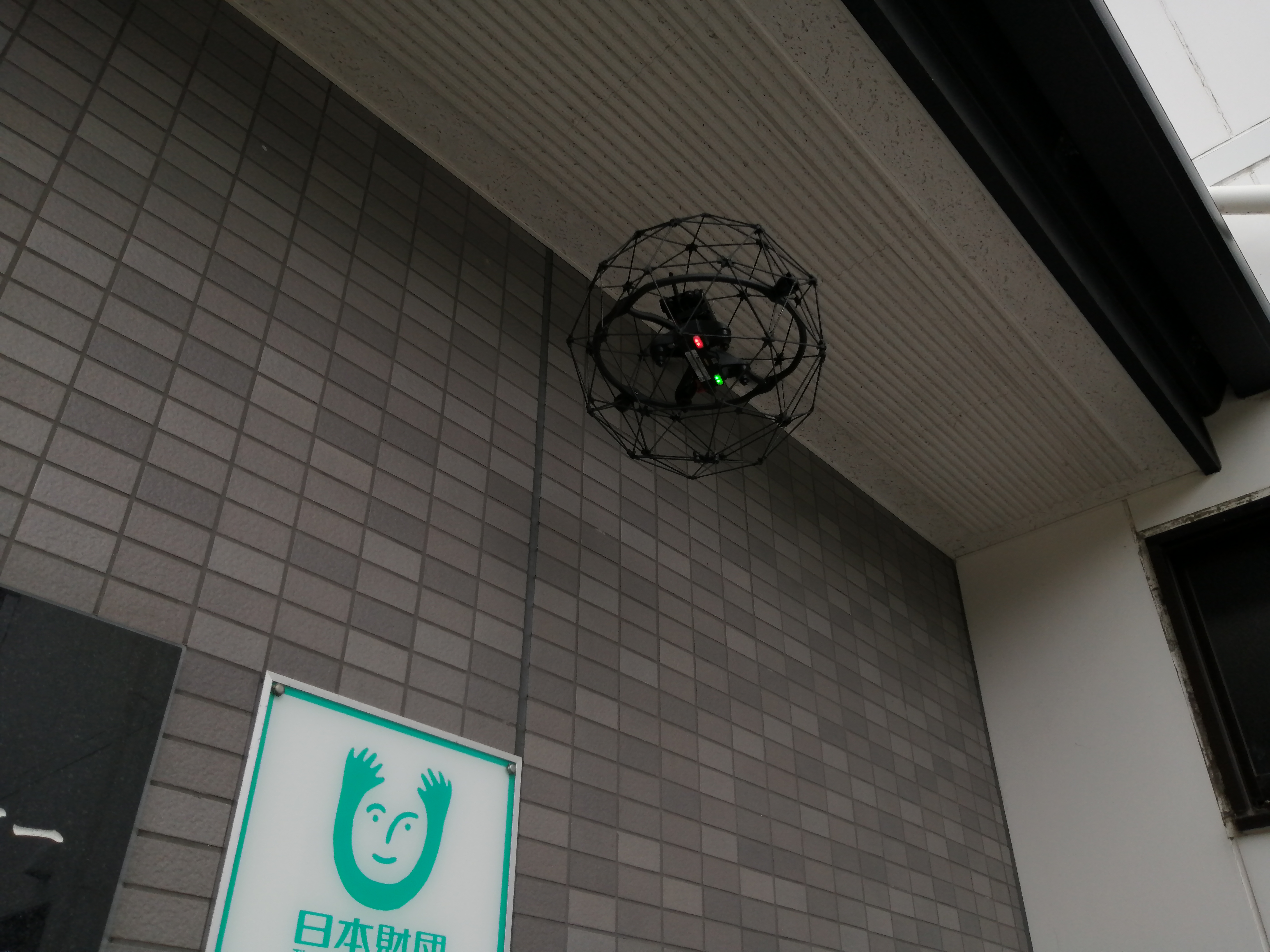 �w���I�X���쒆