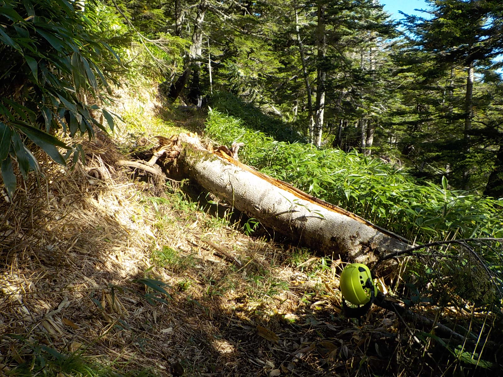 �|�؂P�{��