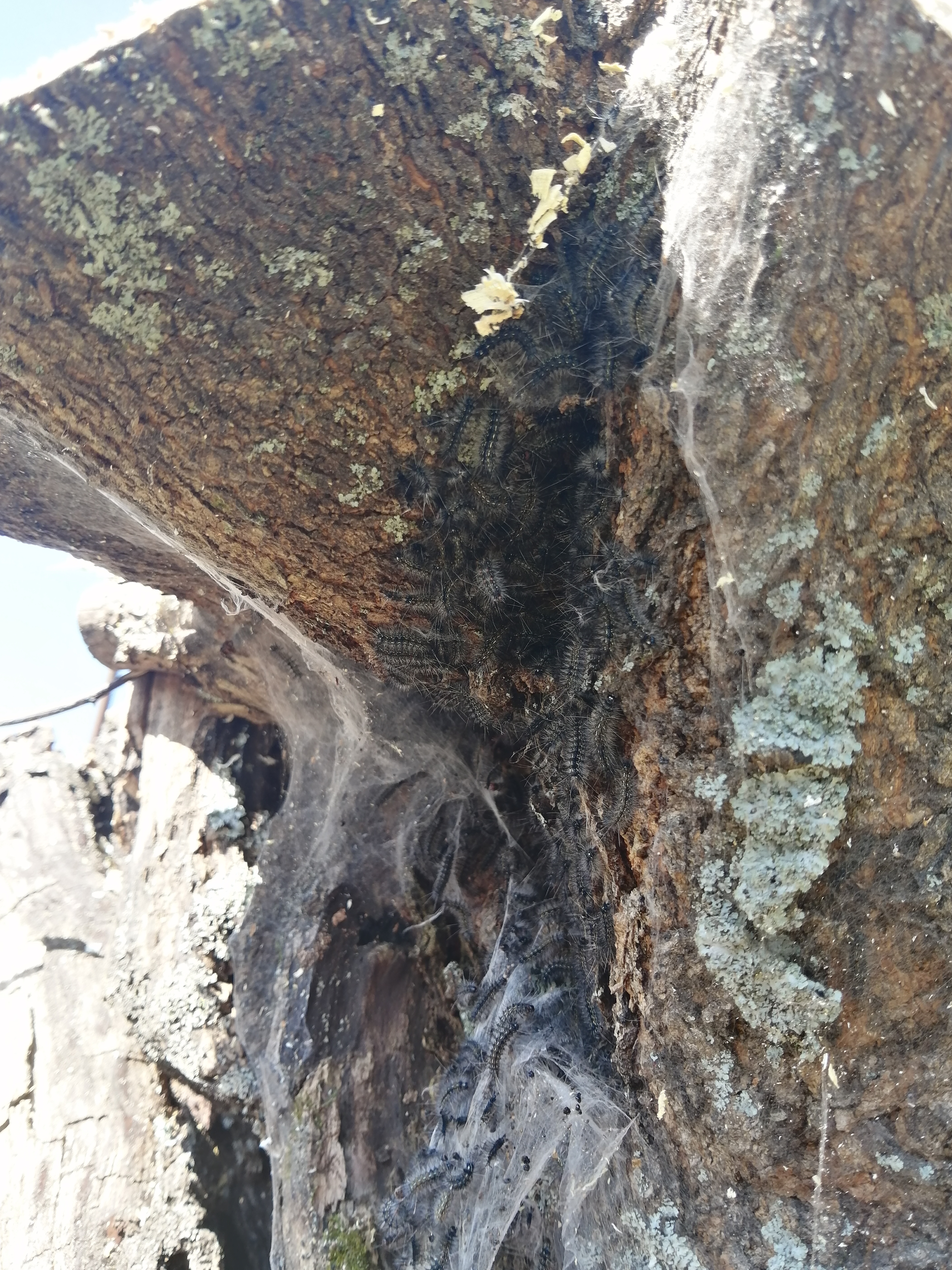 �}�C�}�C�K