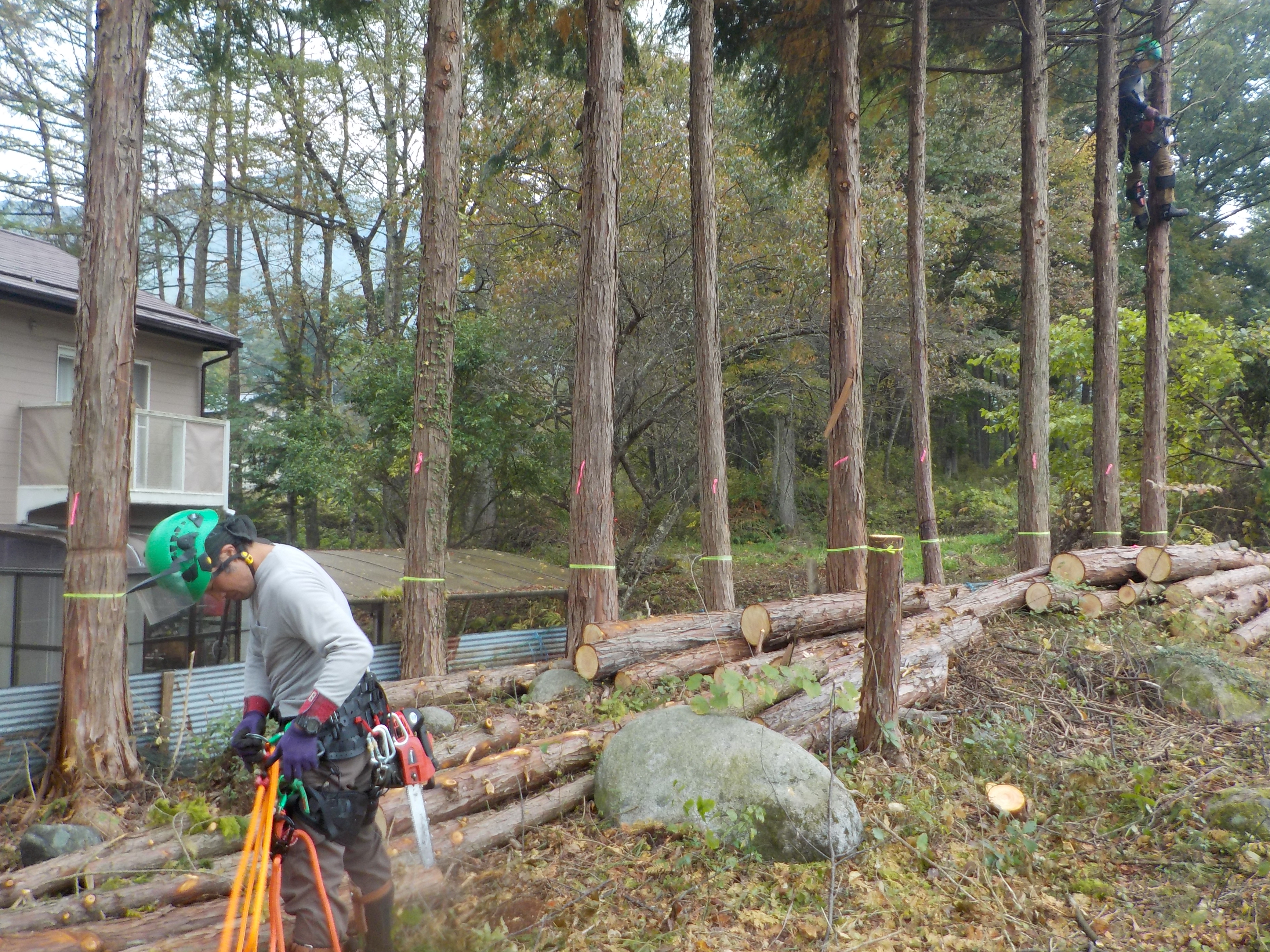 ���؃g���[�j���O