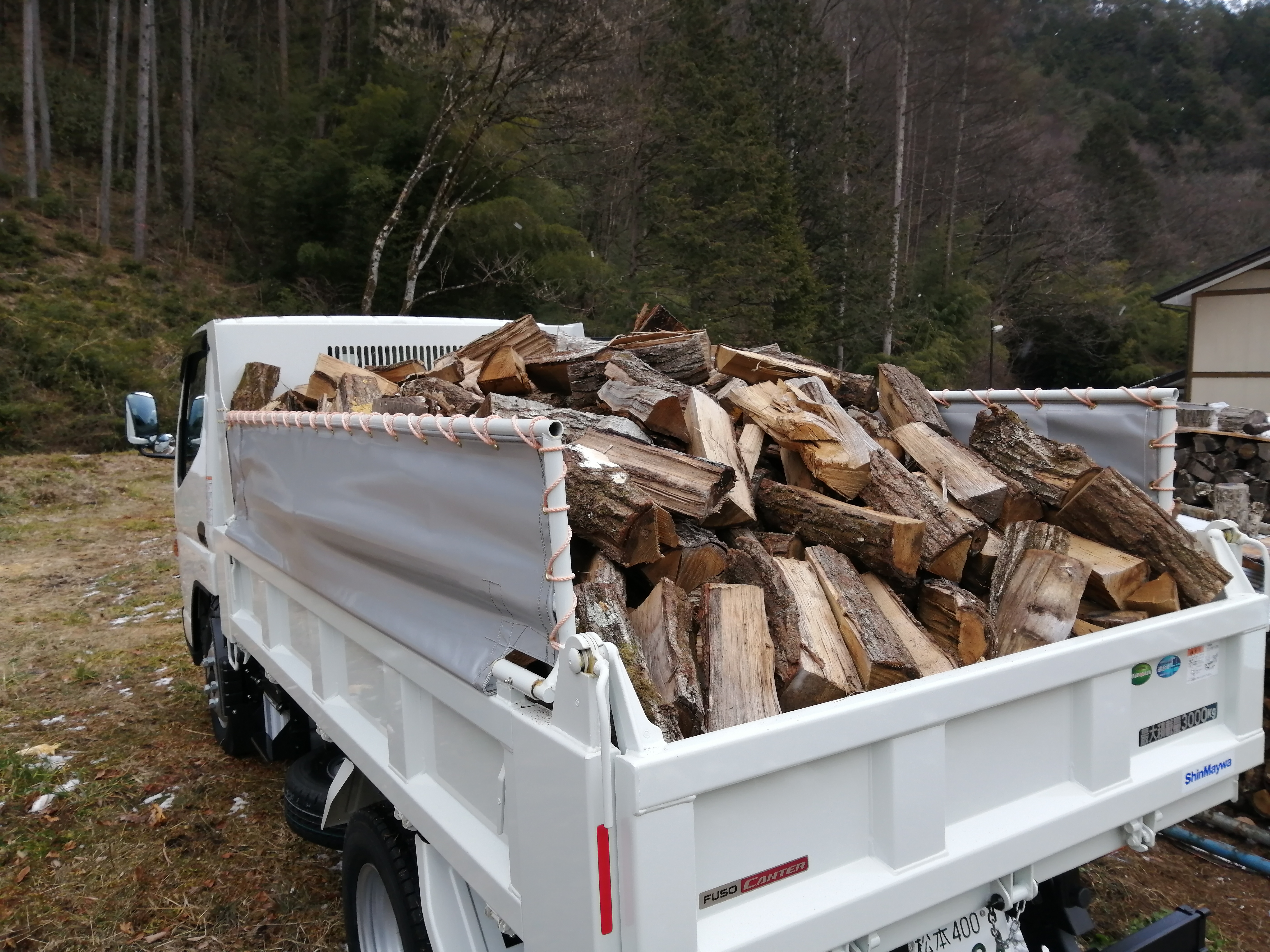 �R�g���_���v