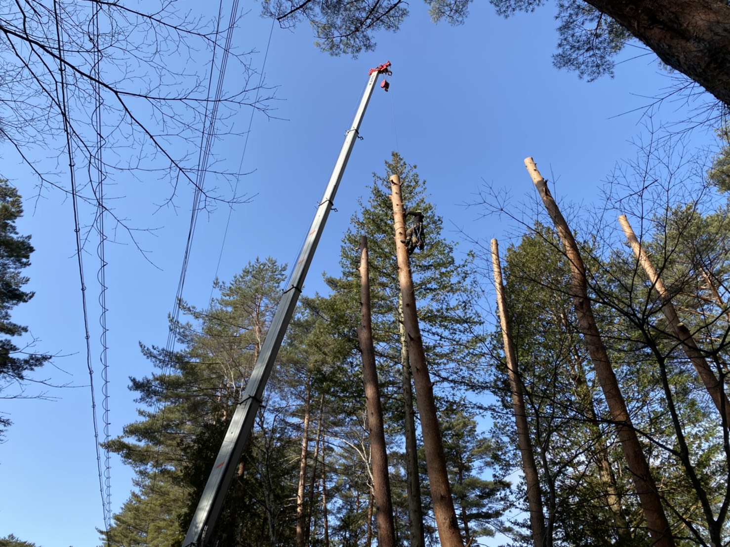 �N���[������