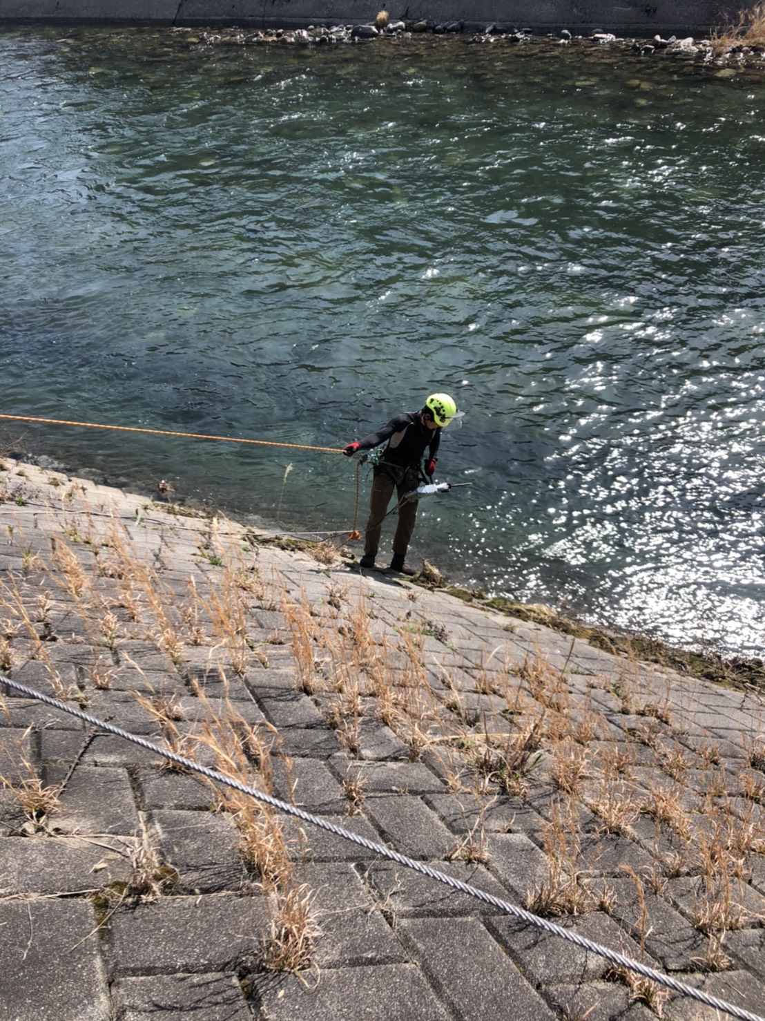 �n���}�[�h����