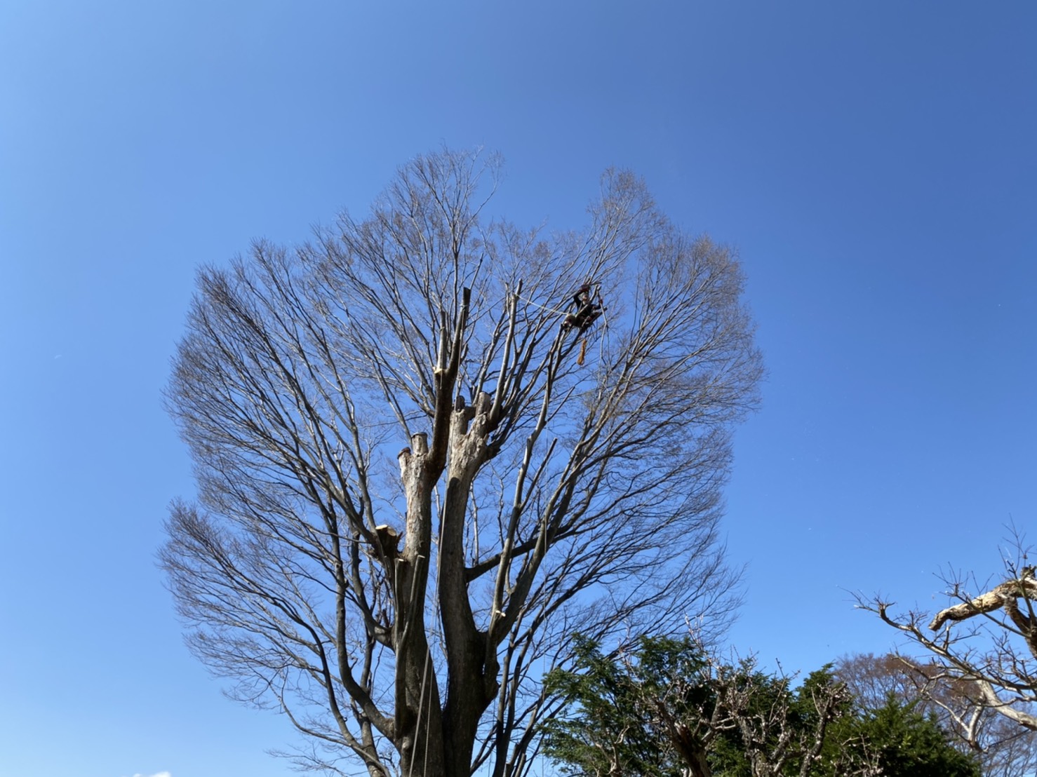 �P���L�}����