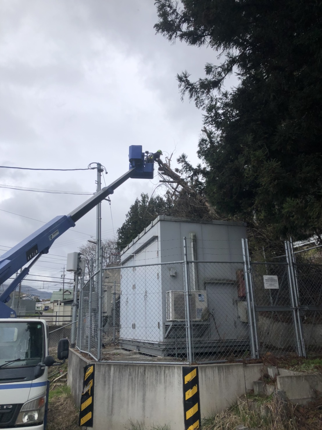 ������Ǝ�