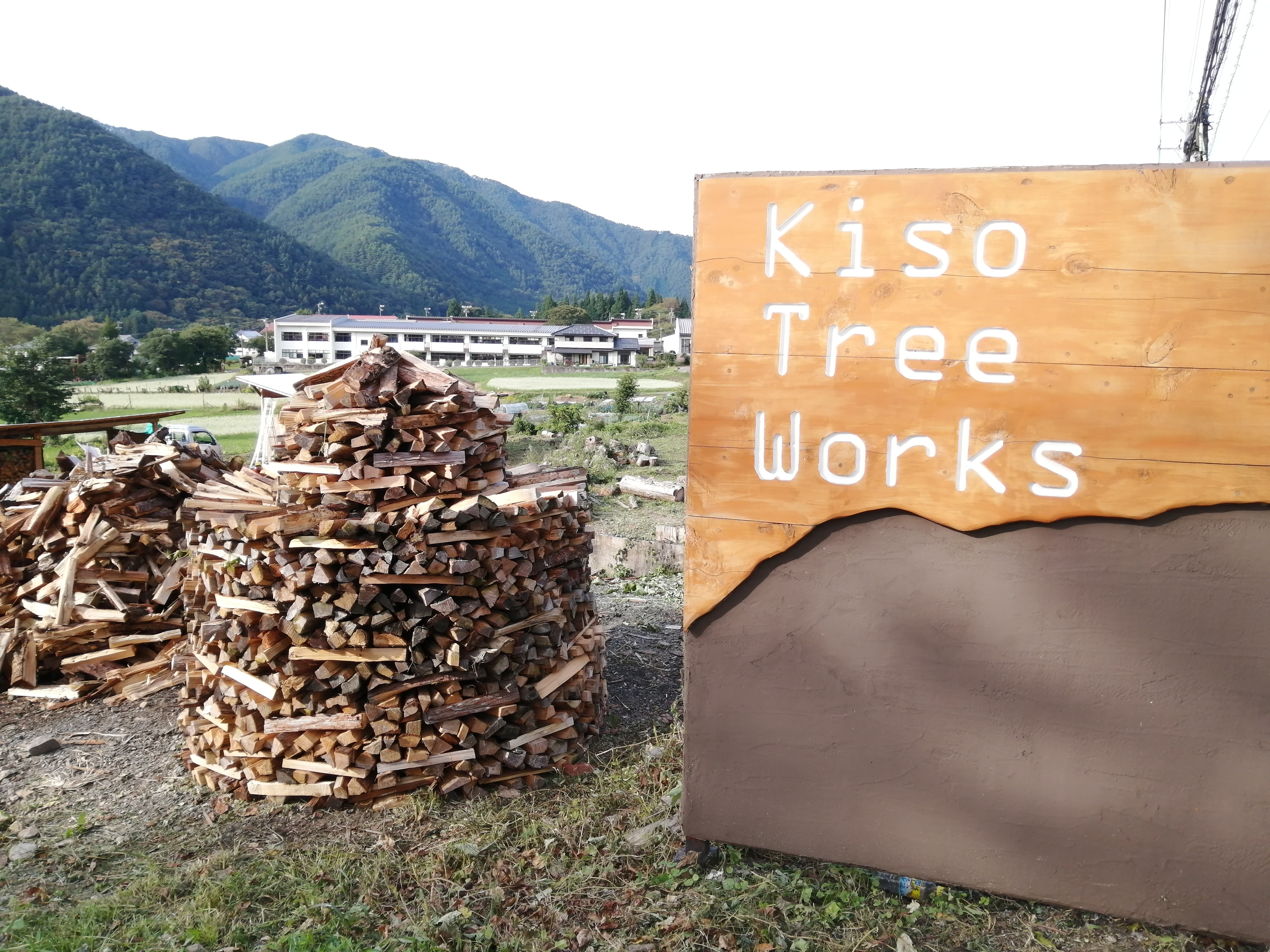 �X�C�X�ς�