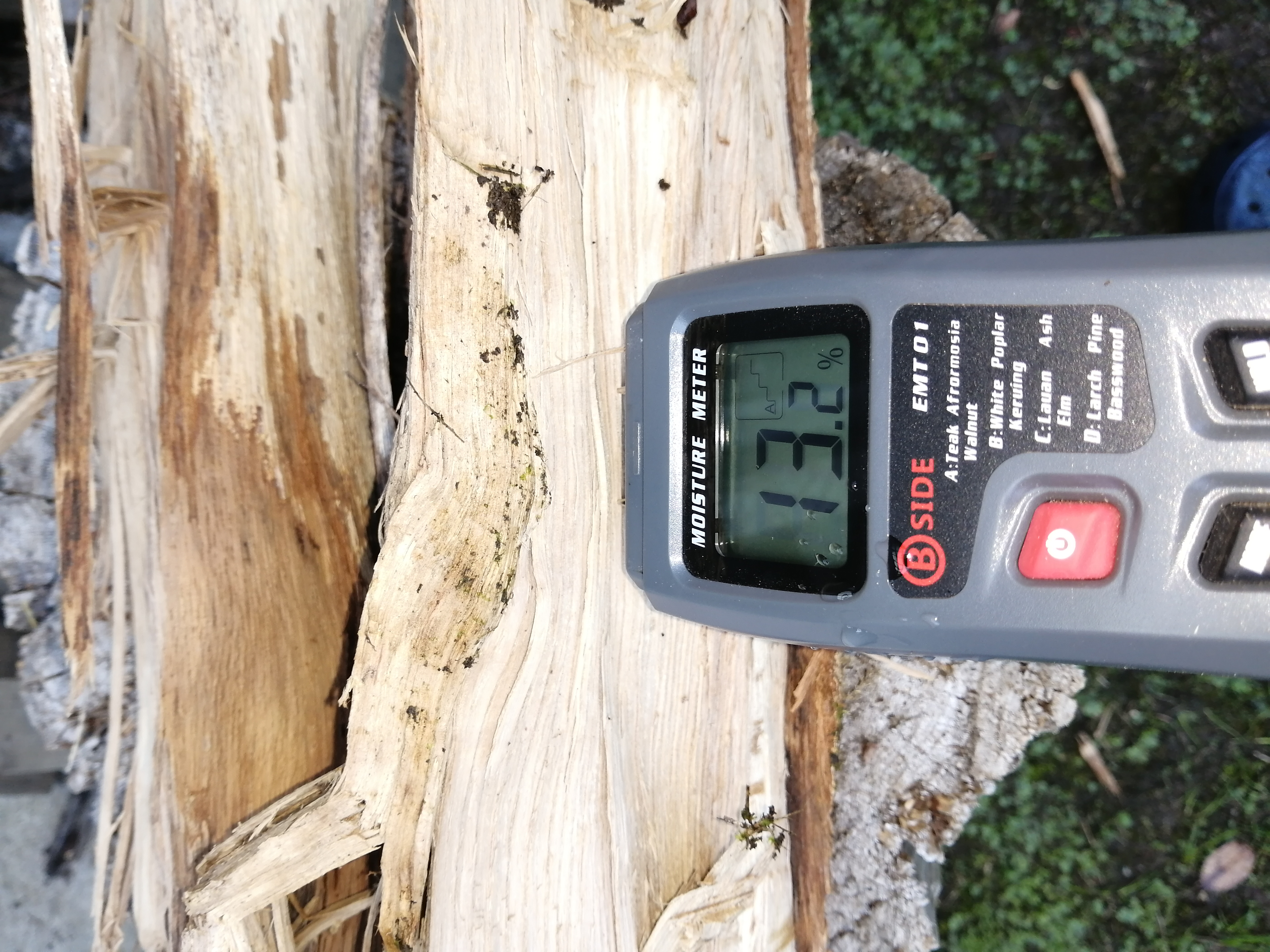 �T���v���Q