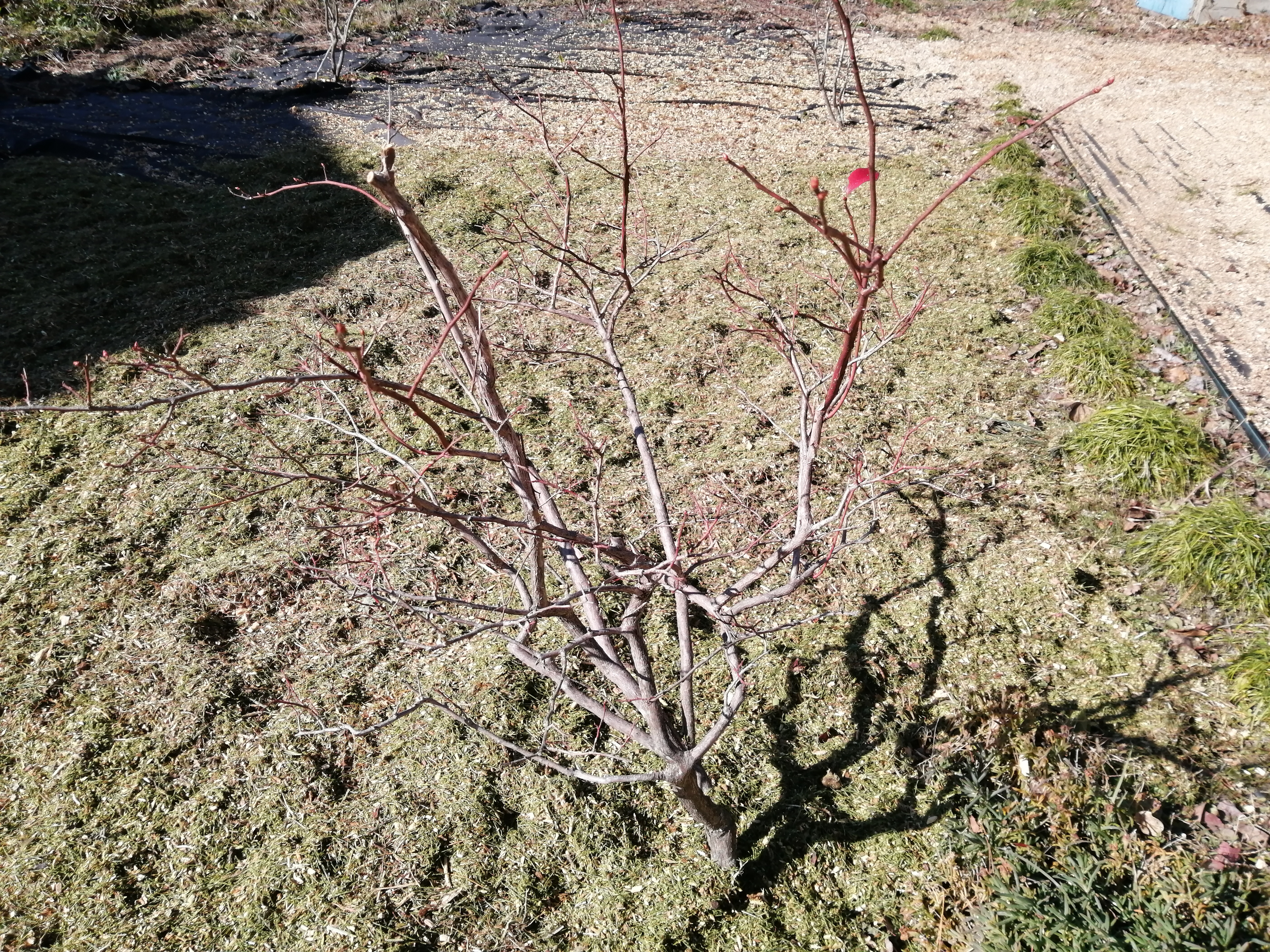 �u���[�x���[����