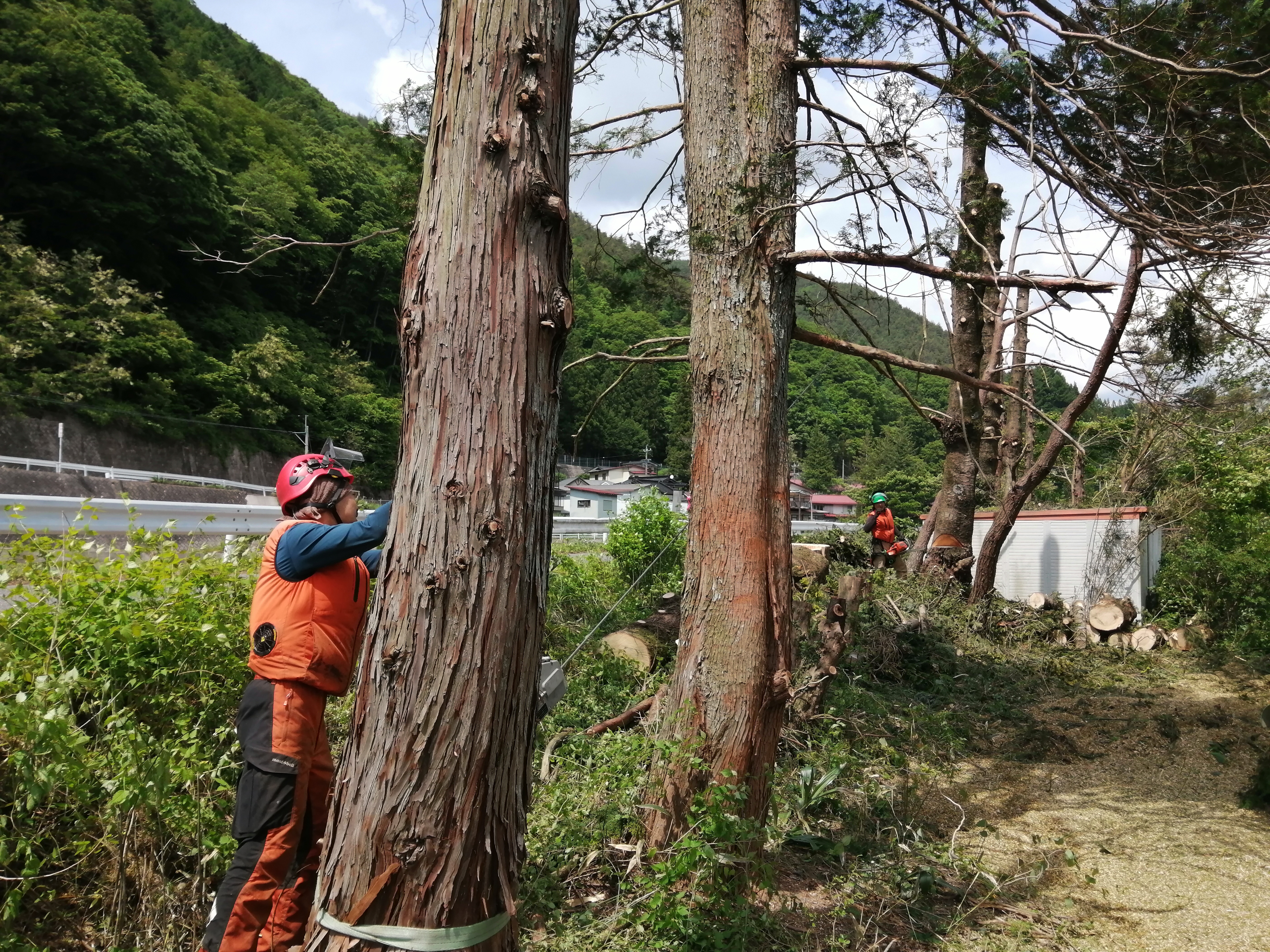 �`���z�[��