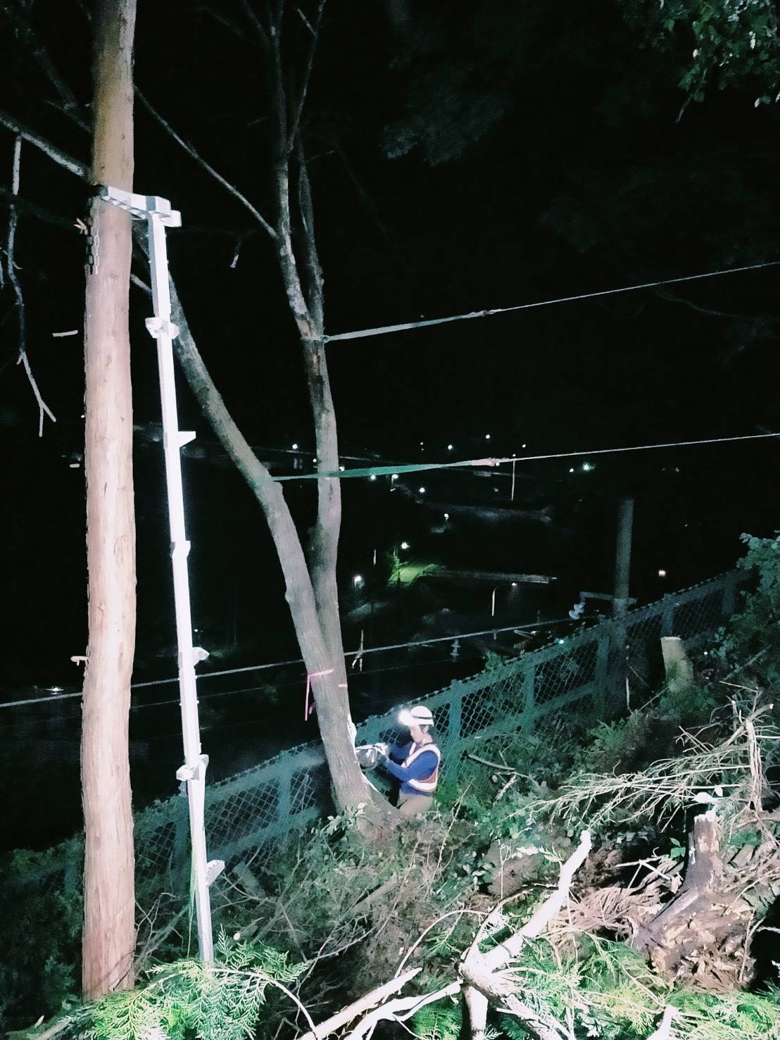 �S�͂�N���~