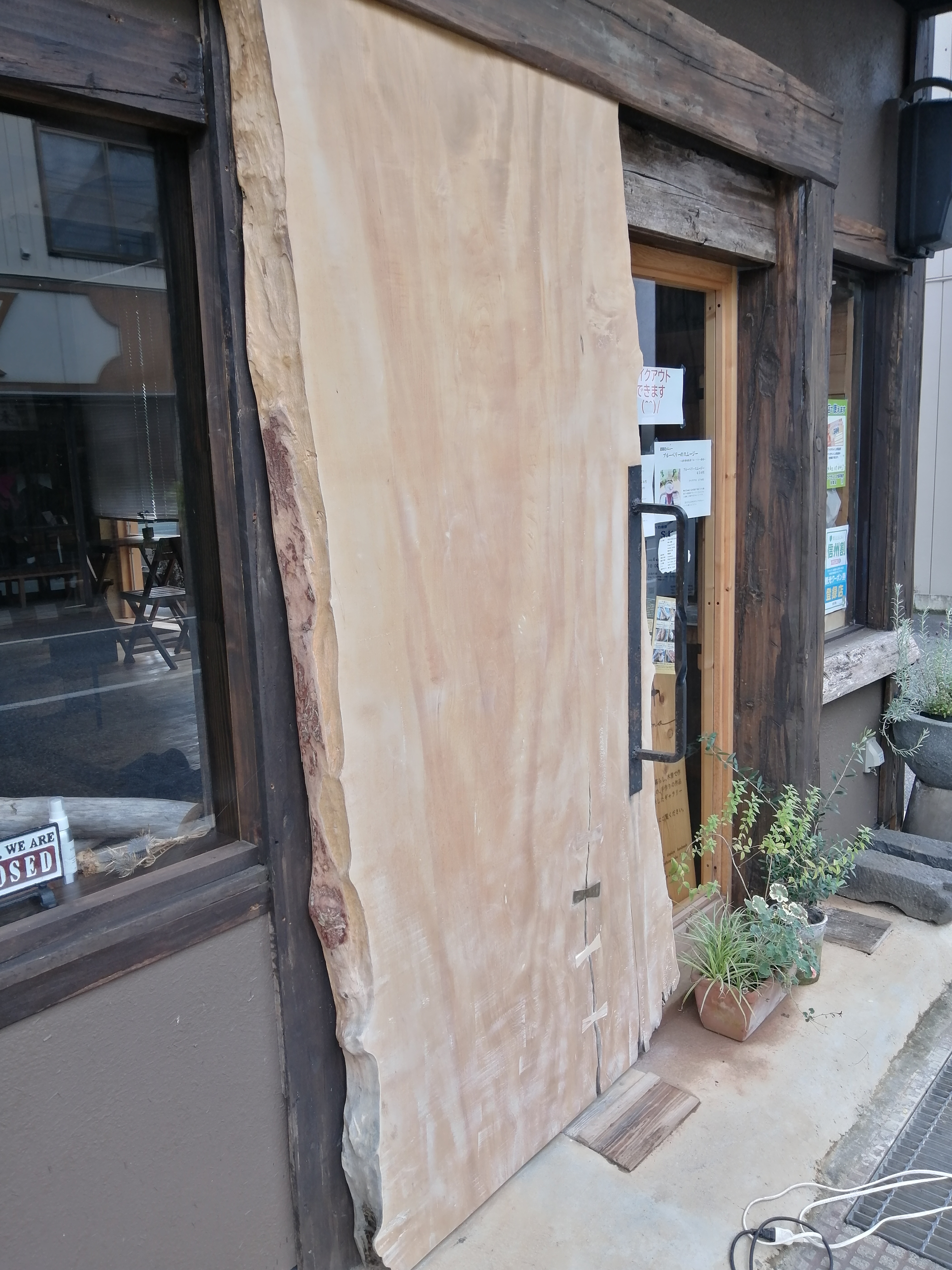 �T���f�B���O