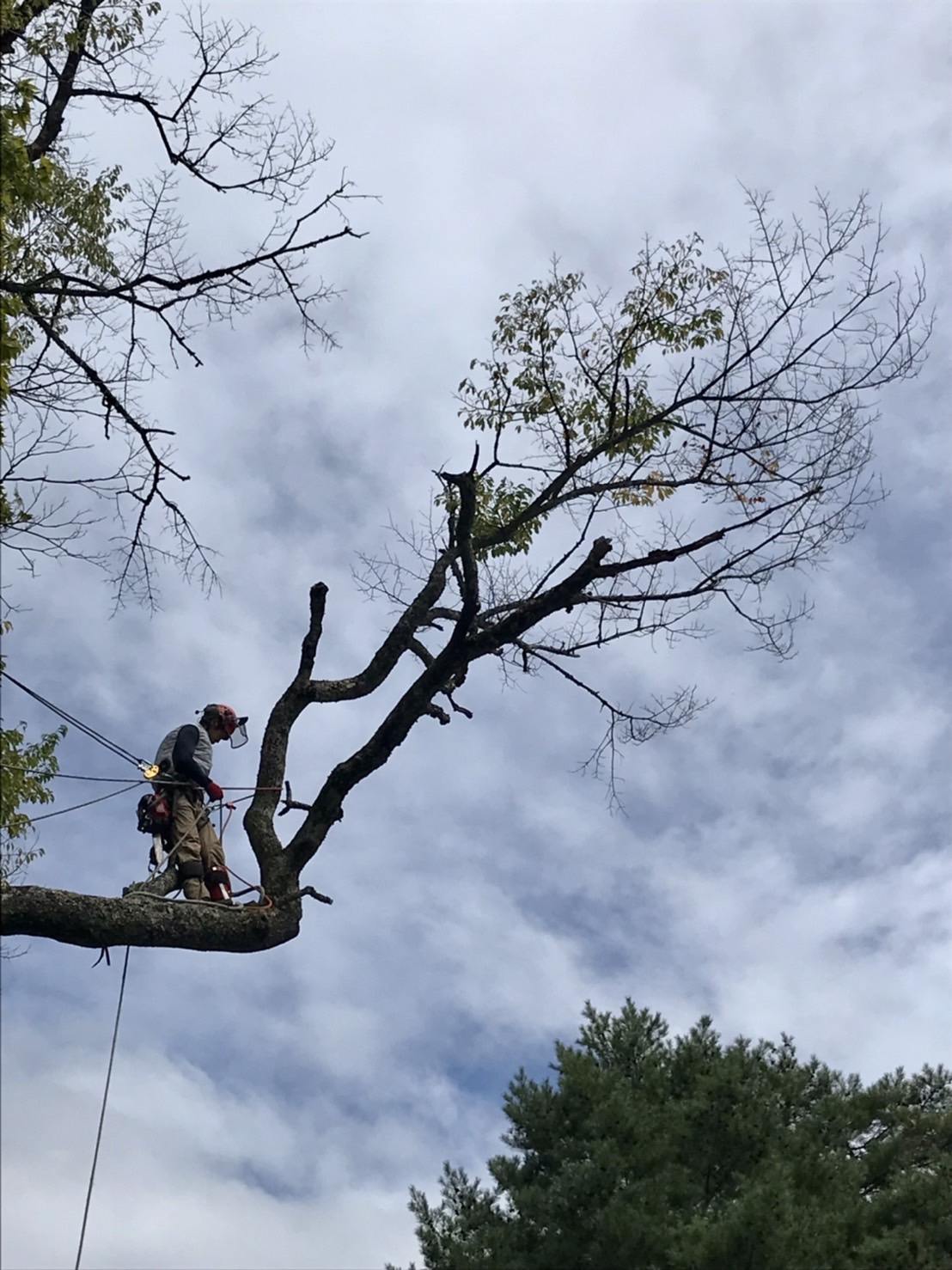 �͂�}�����Q