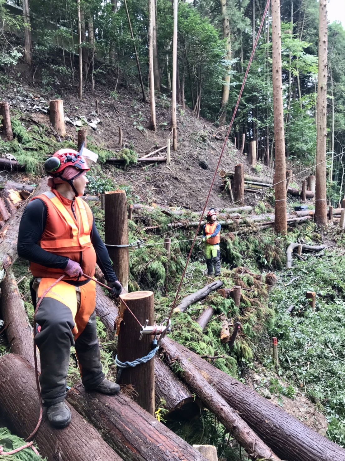 ���M���O