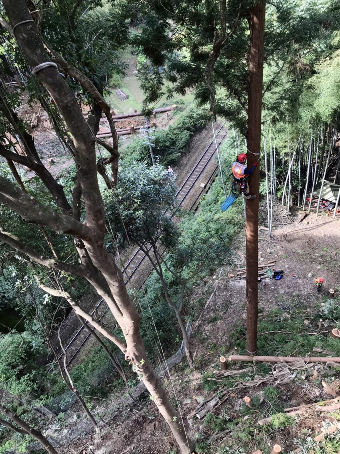 �X�s�[�h���C��