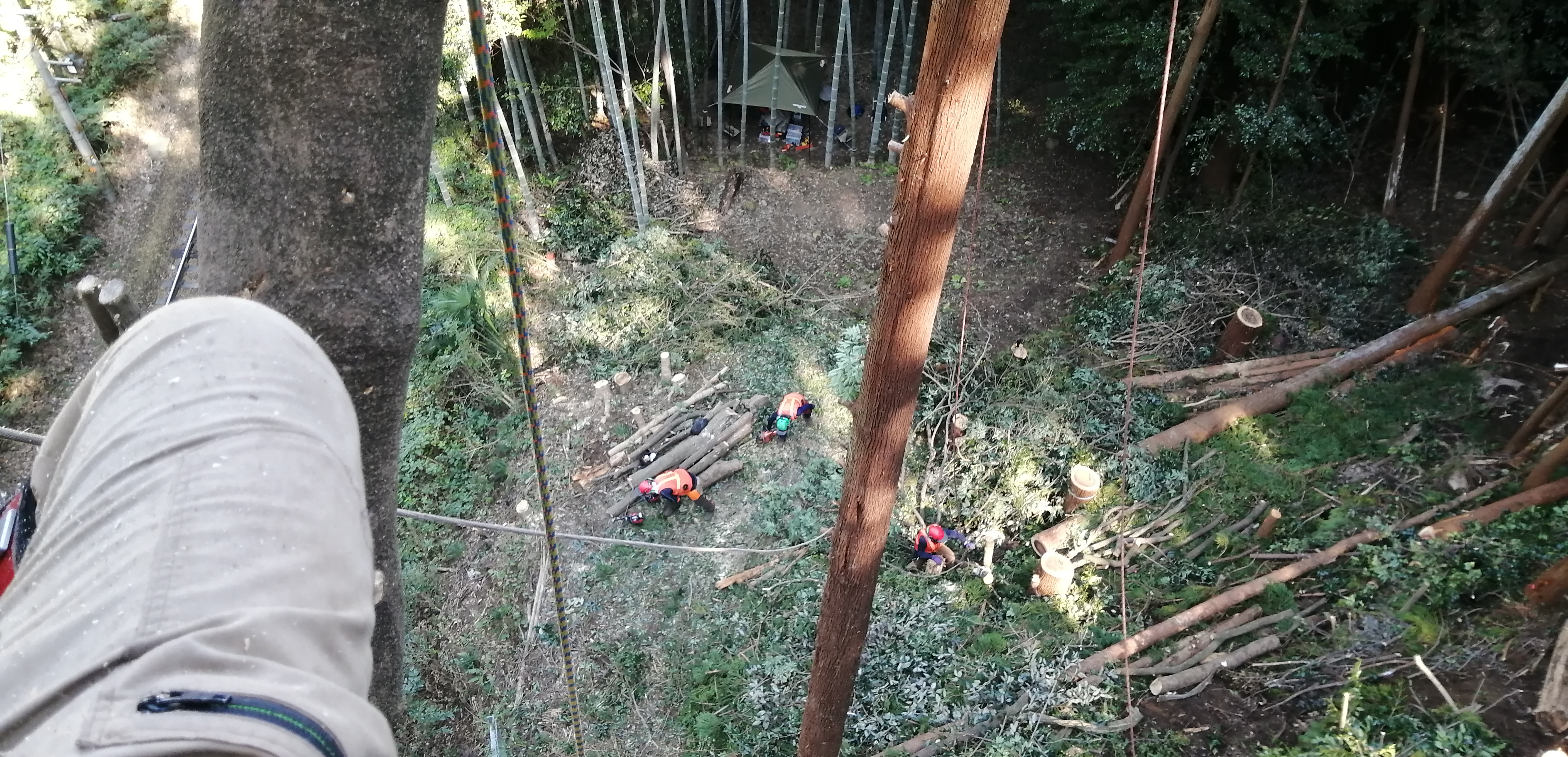 ���M���O