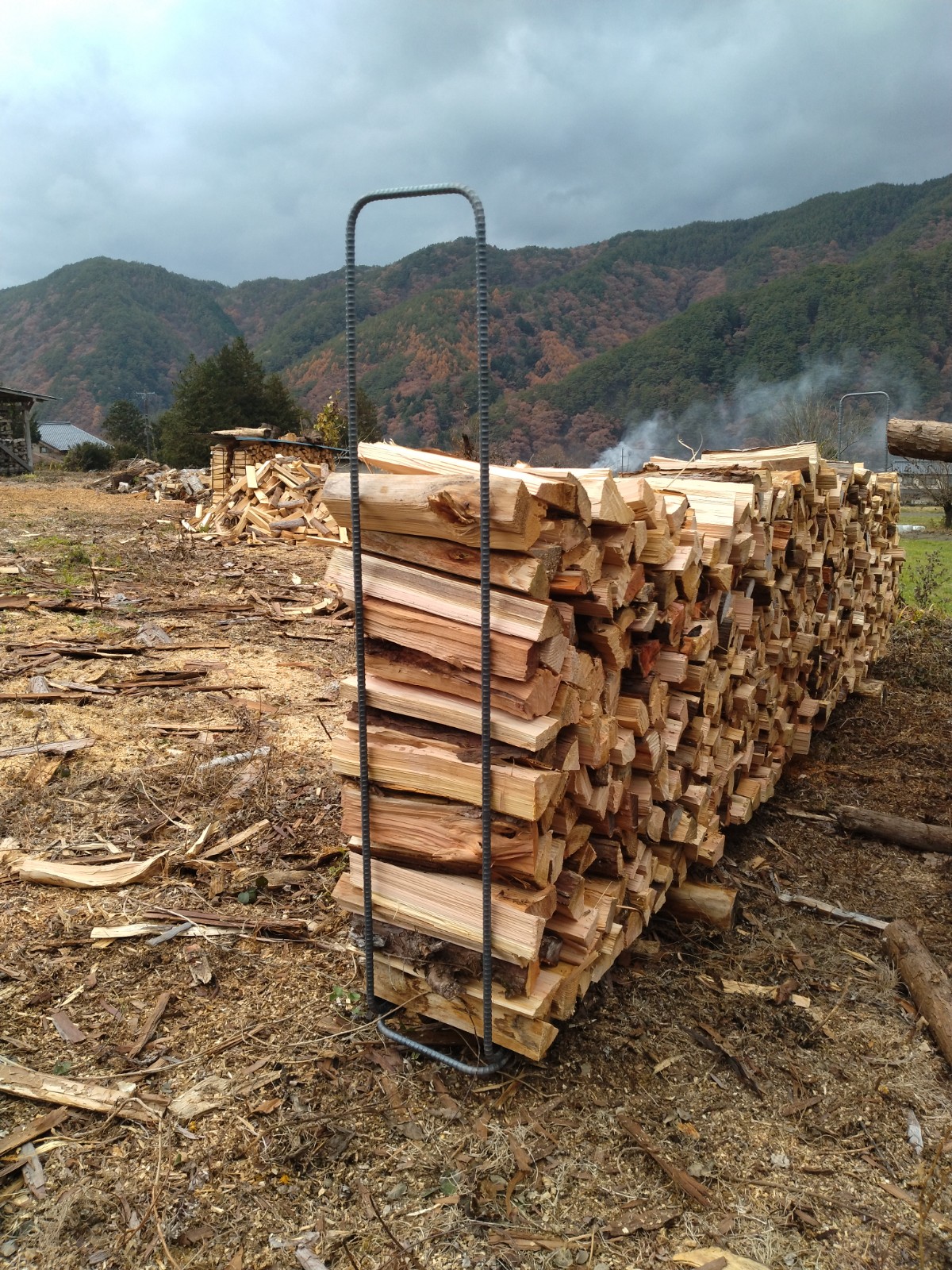 �d���b�N�Q